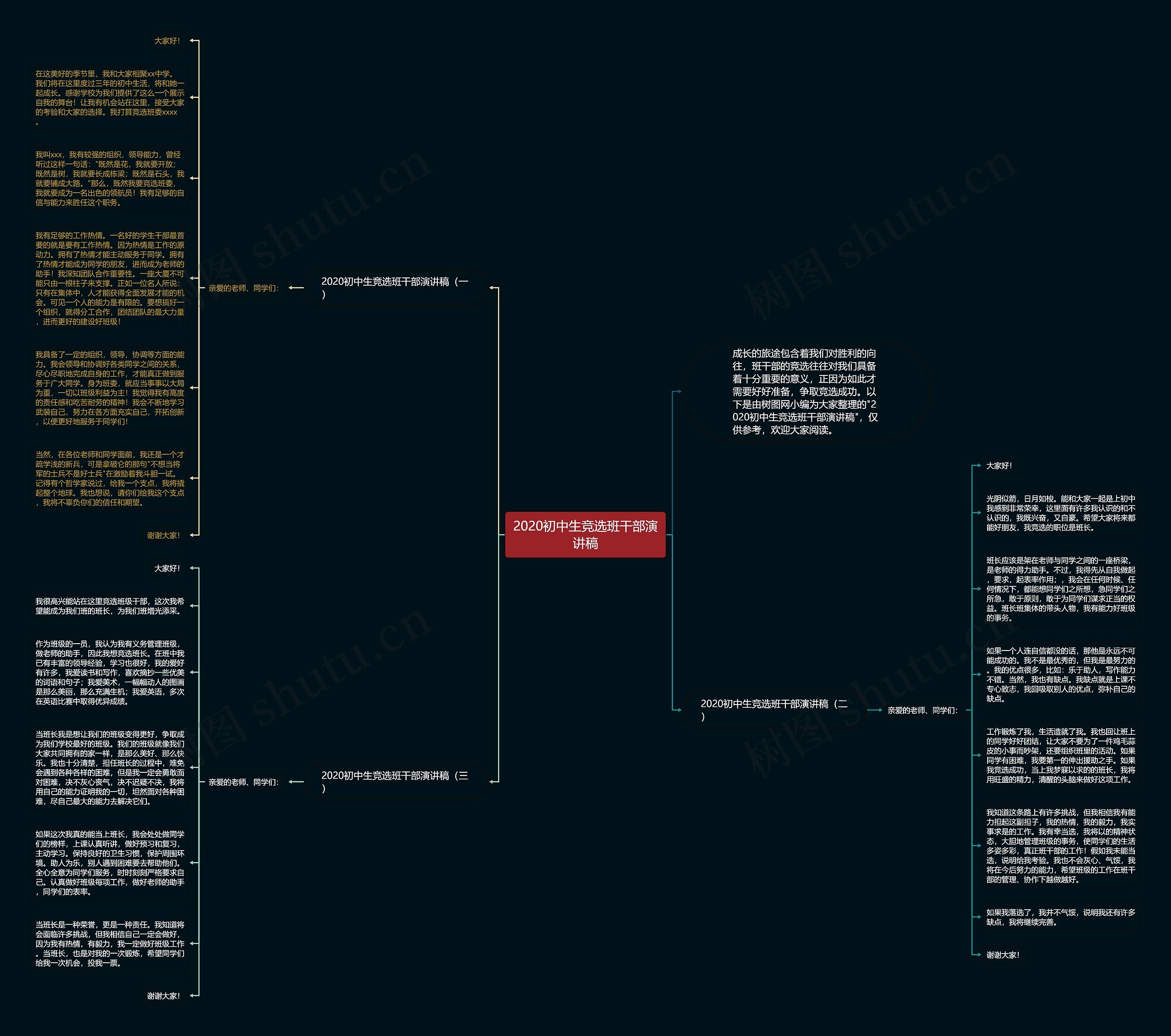 2020初中生竞选班干部演讲稿思维导图