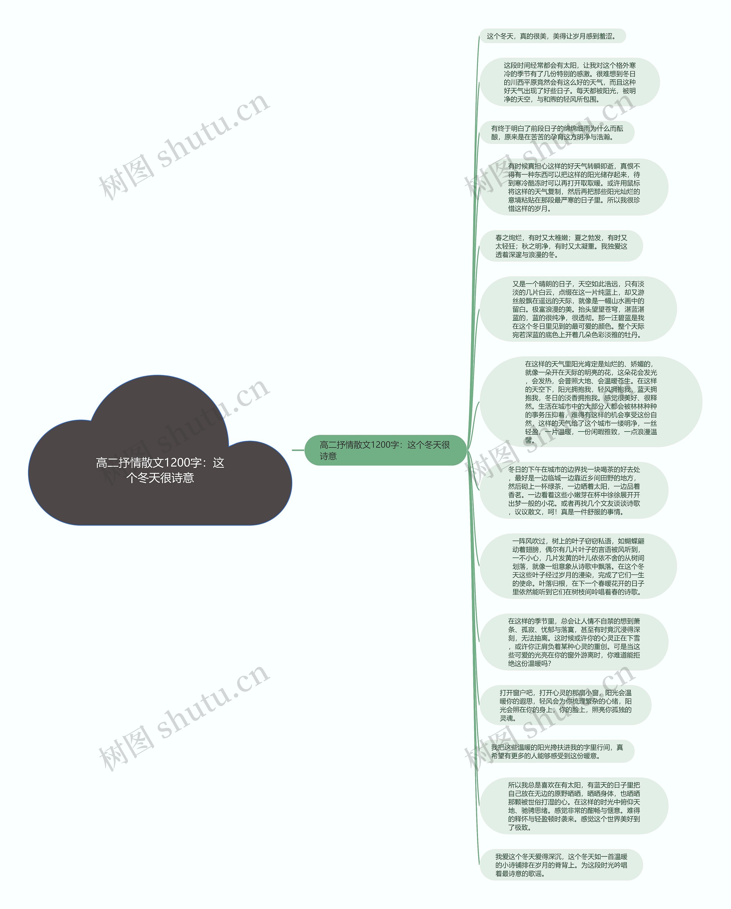 高二抒情散文1200字：这个冬天很诗意思维导图