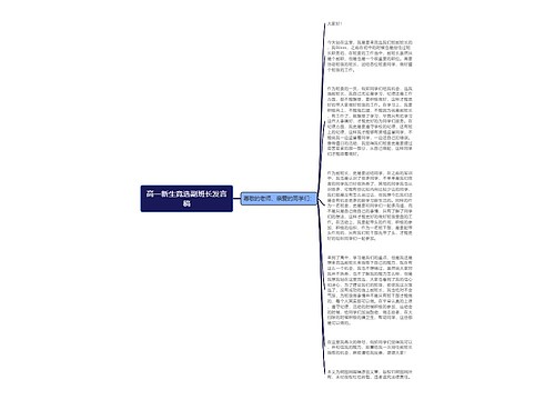 高一新生竞选副班长发言稿