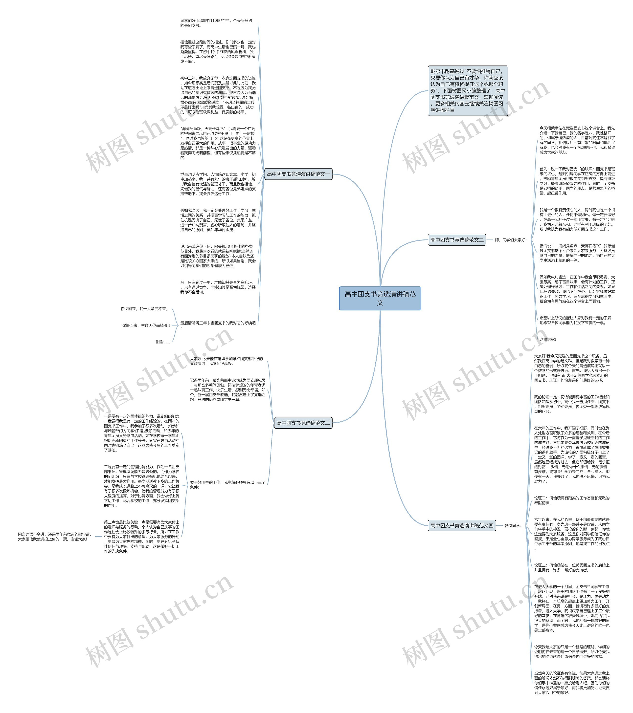 高中团支书竞选演讲稿范文思维导图