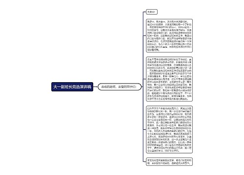 大一副班长竞选演讲稿