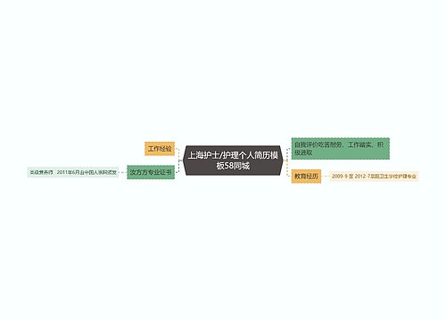 上海护士/护理个人简历模板58同城