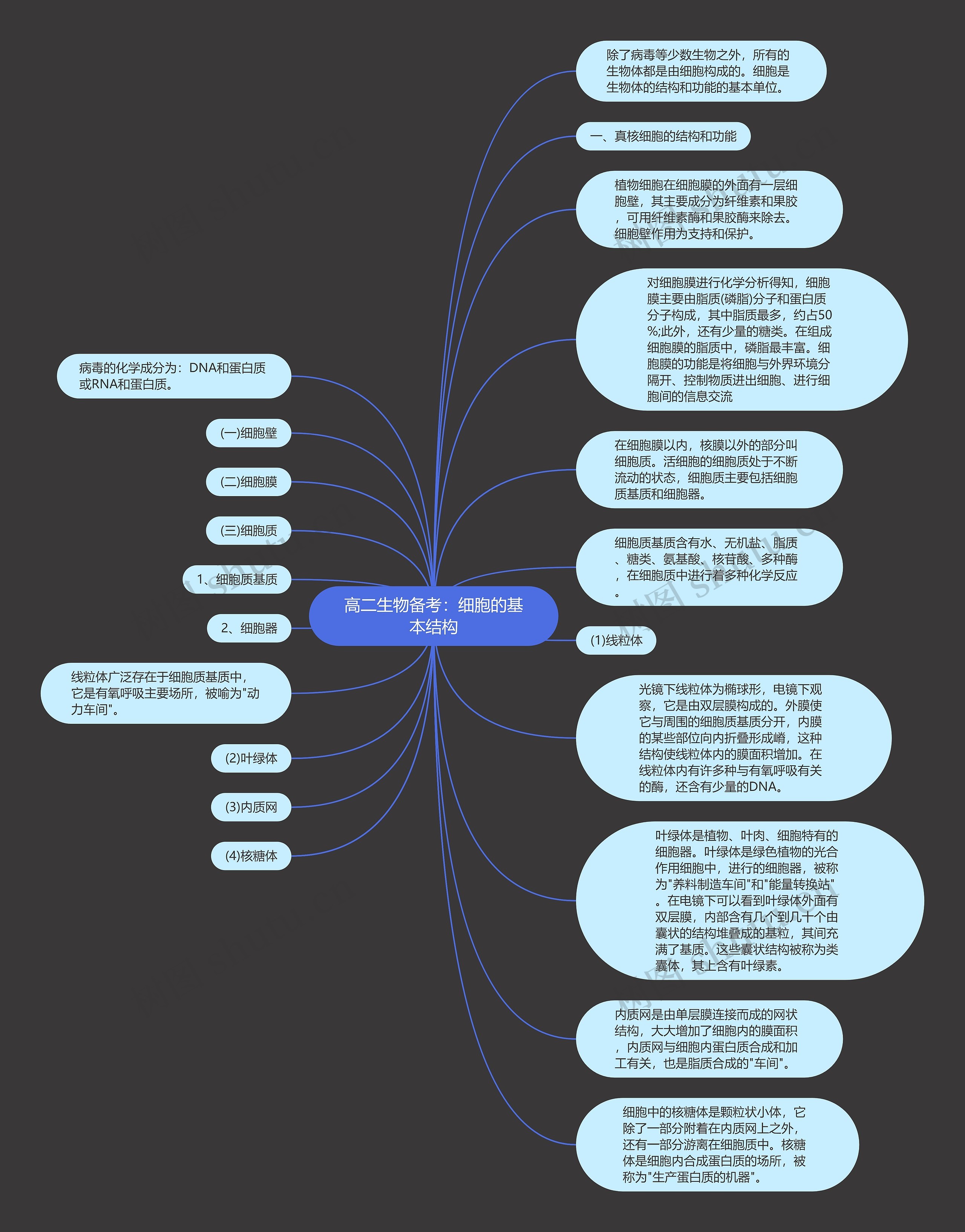 高二生物备考：细胞的基本结构