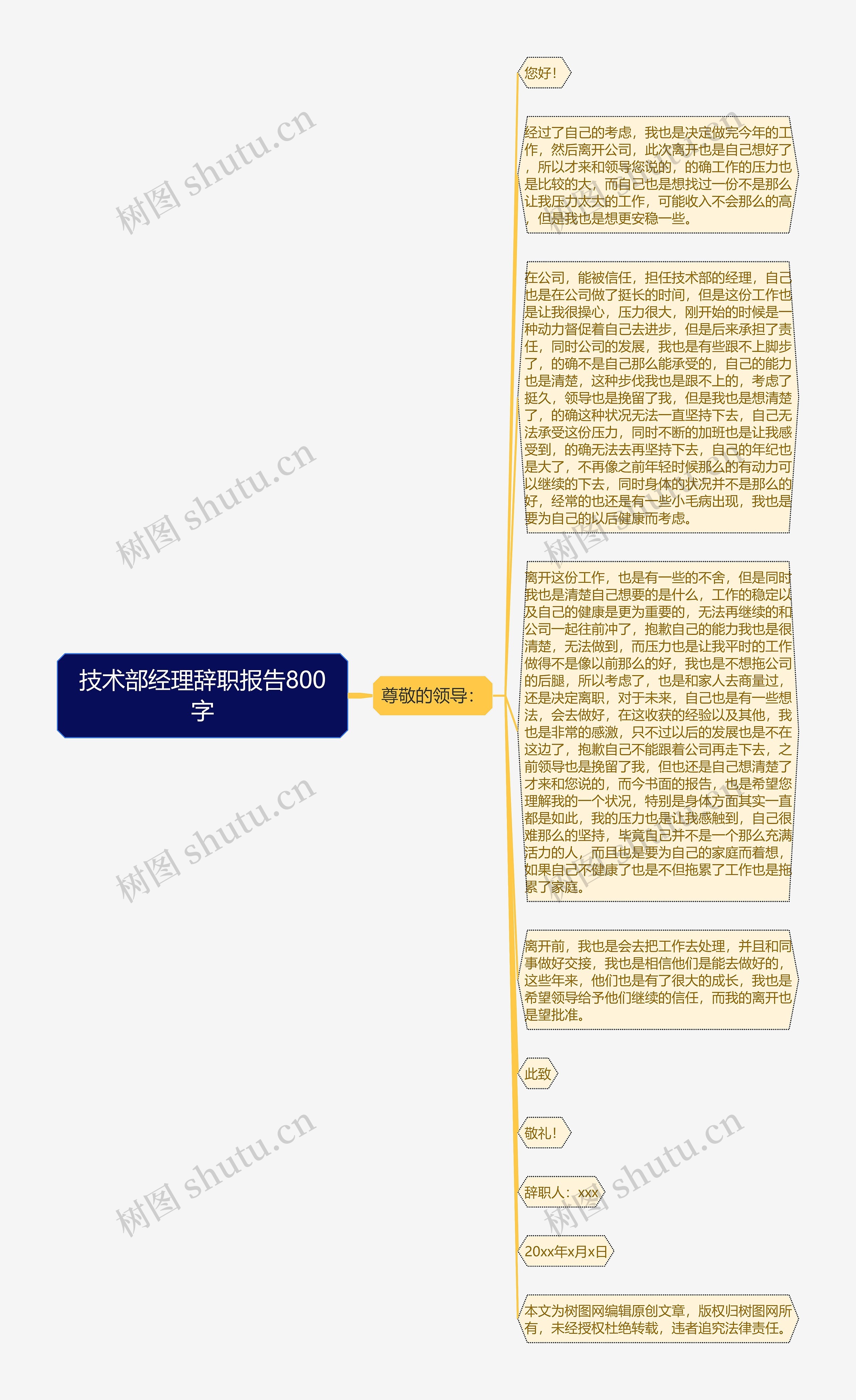 技术部经理辞职报告800字思维导图