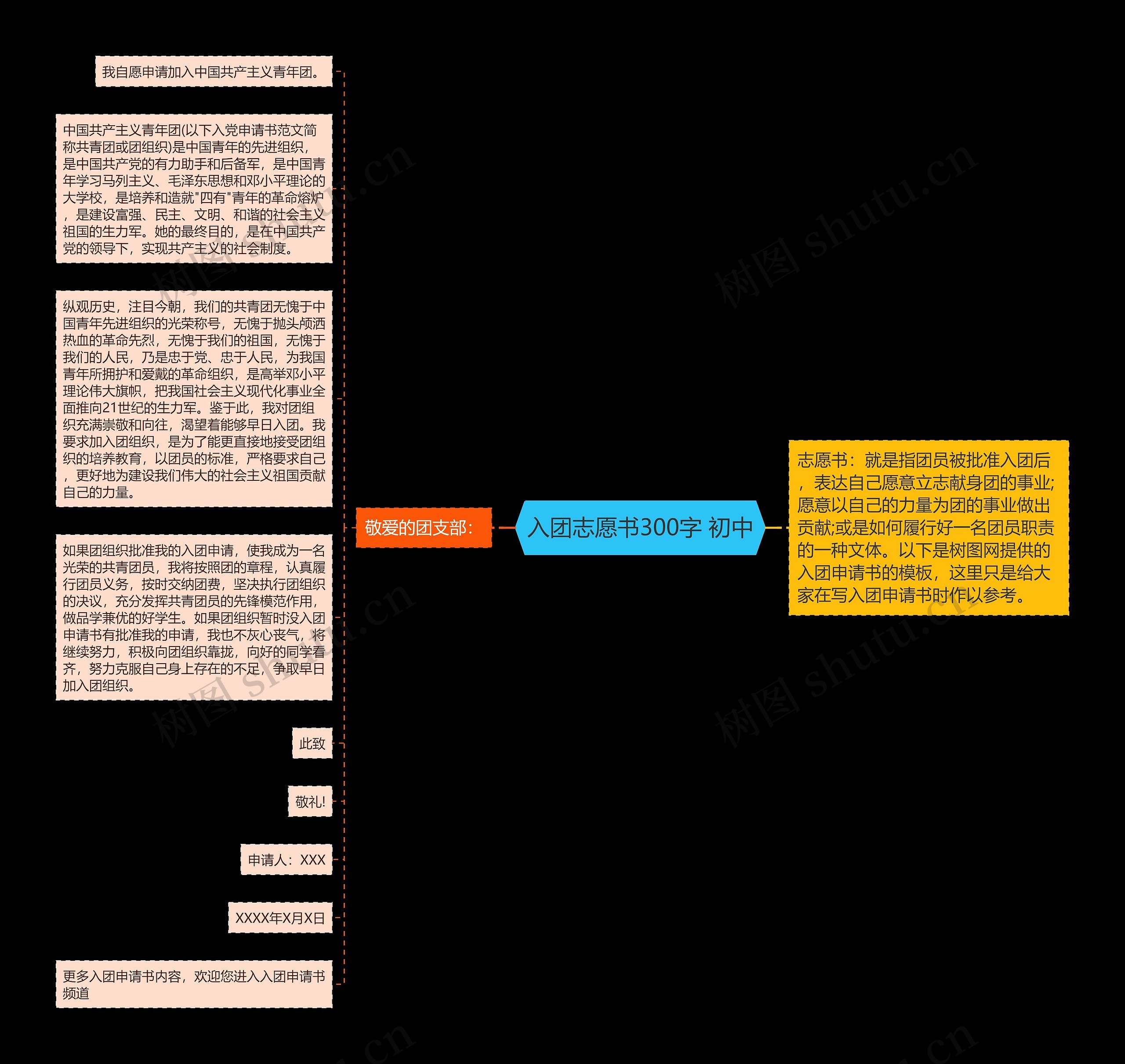 入团志愿书300字 初中思维导图