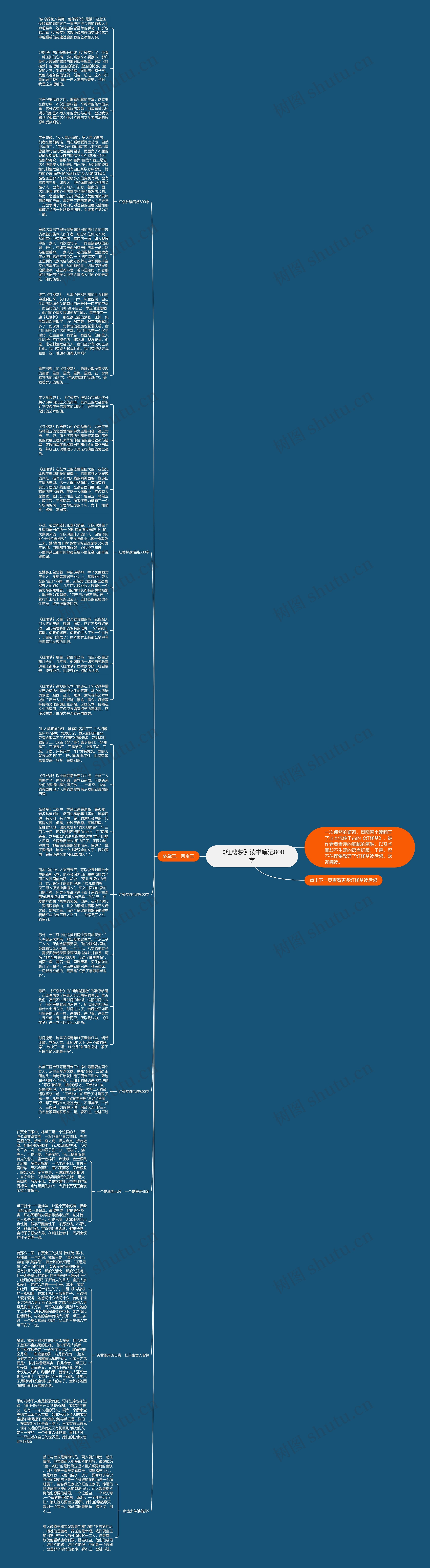 《红楼梦》读书笔记800字思维导图