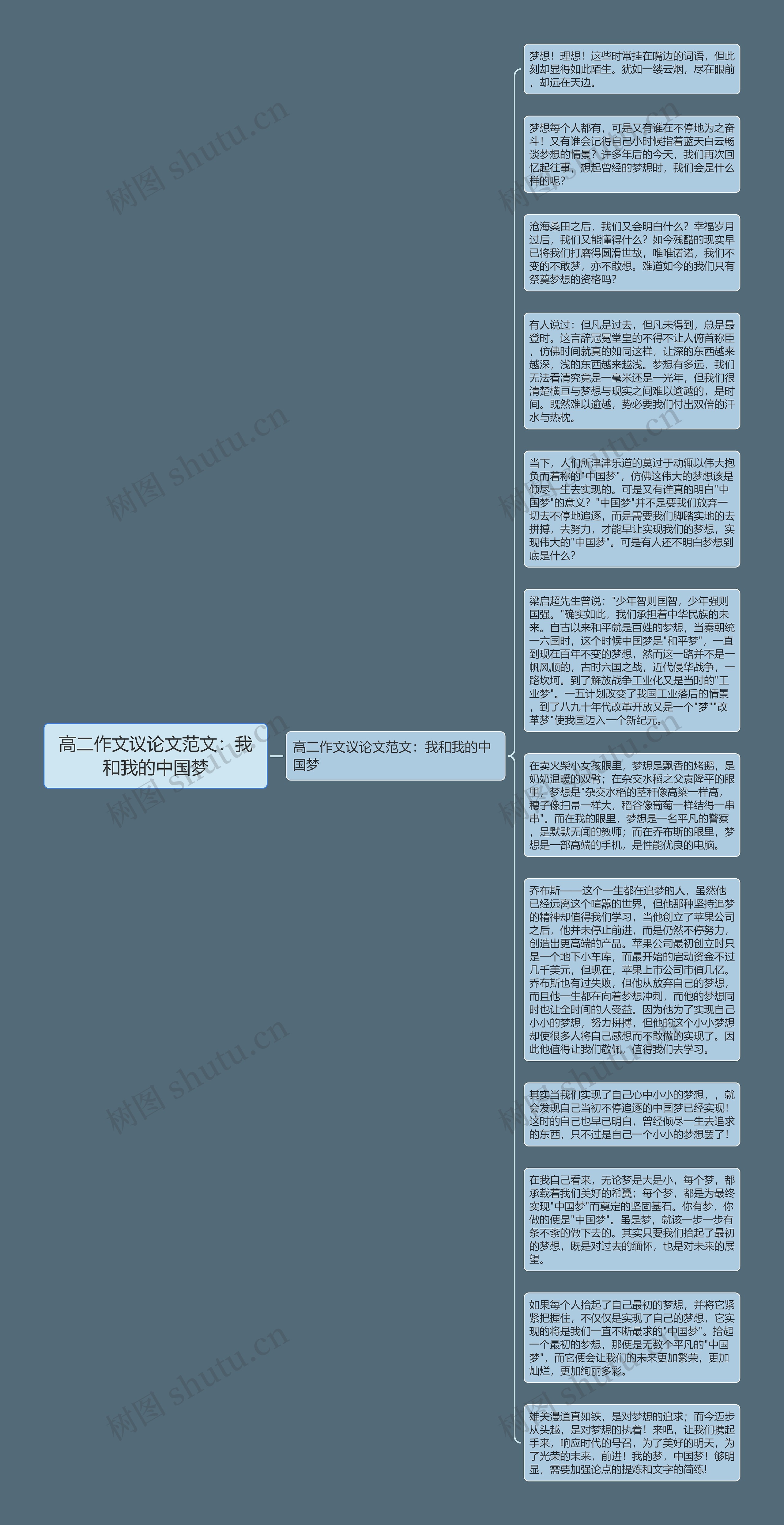 高二作文议论文范文：我和我的中国梦