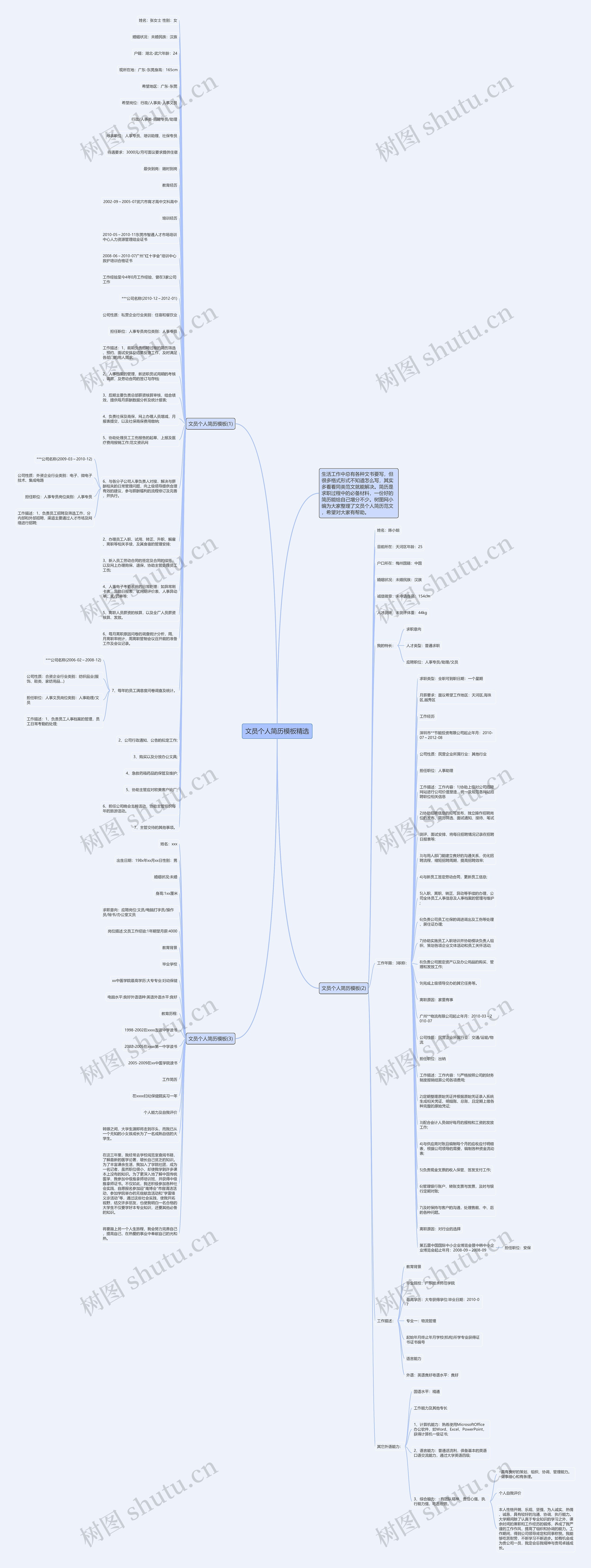 文员个人简历精选思维导图