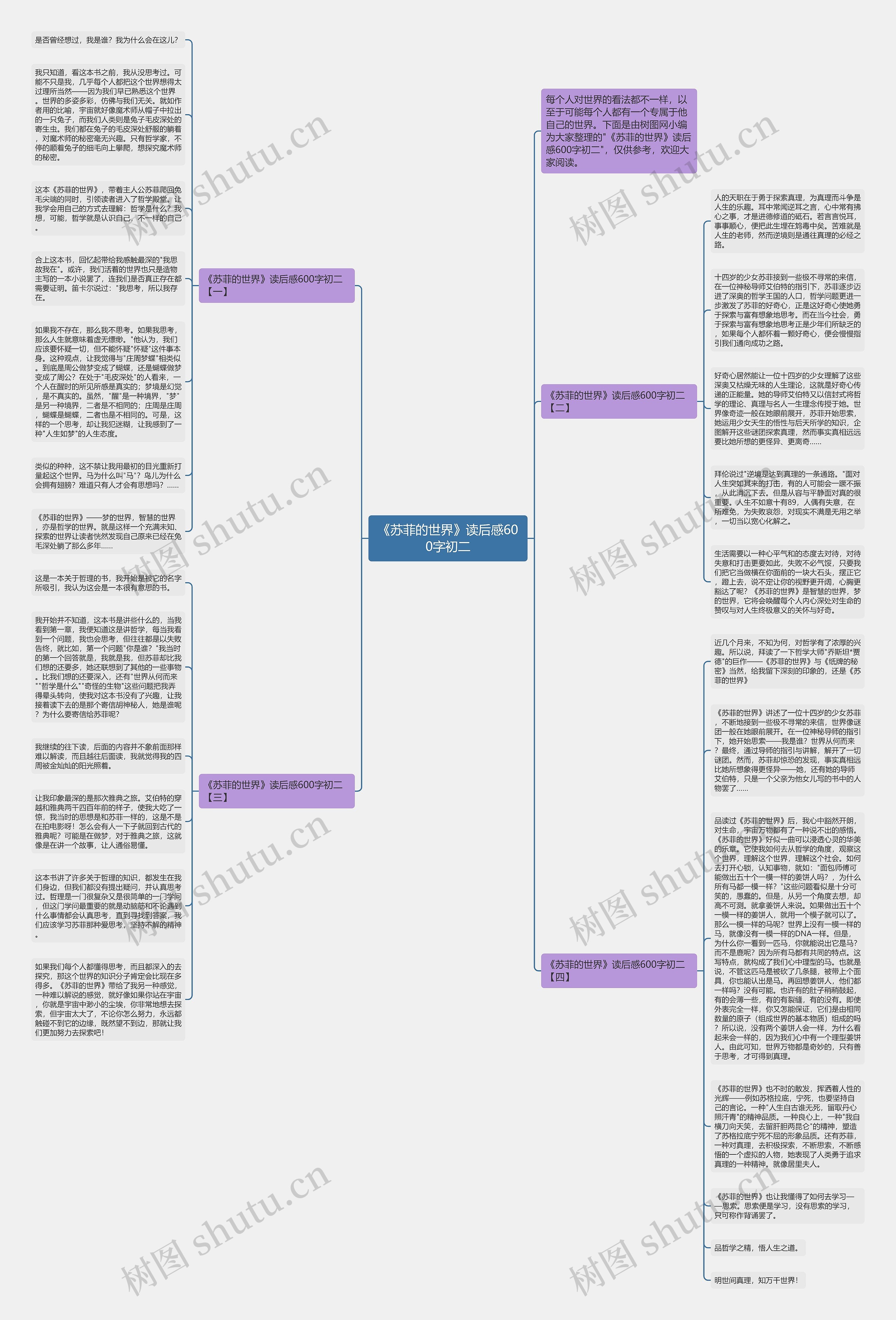 《苏菲的世界》读后感600字初二思维导图