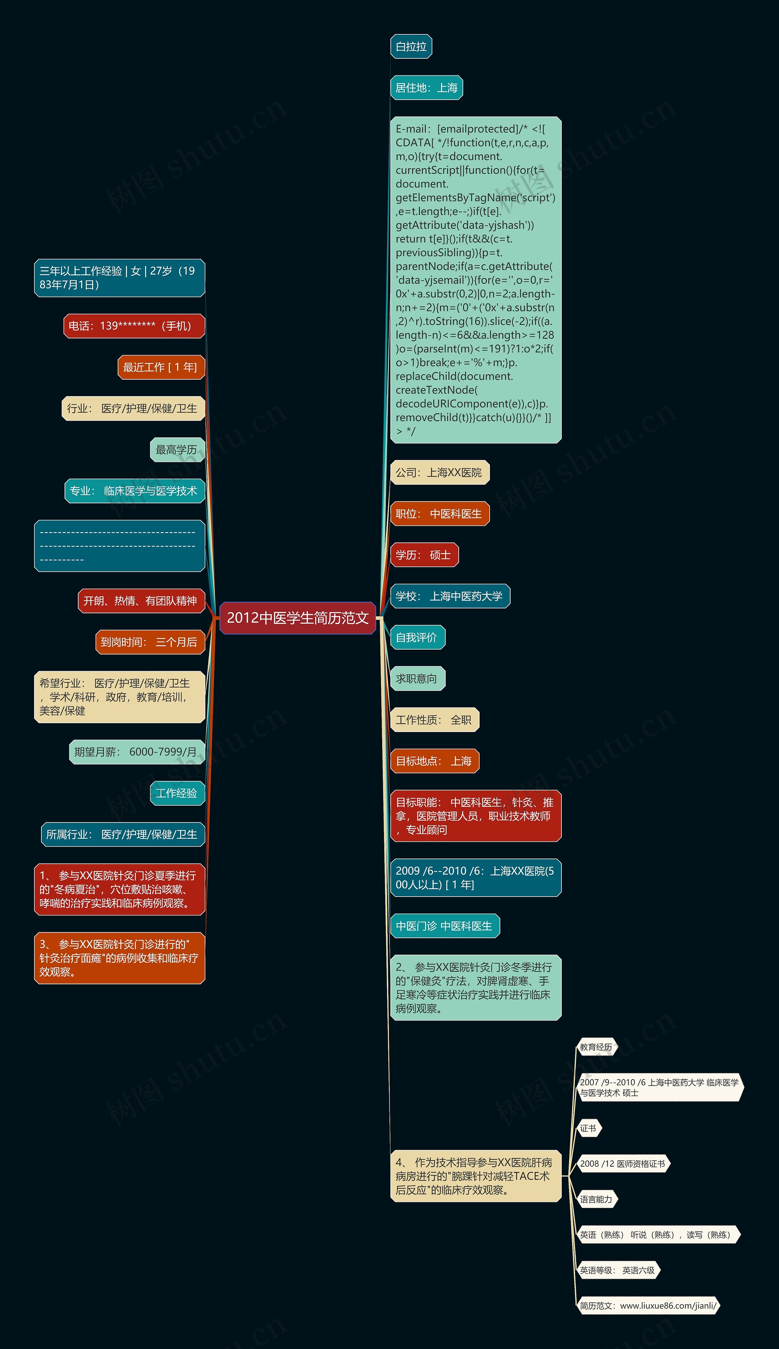 2012中医学生简历范文思维导图