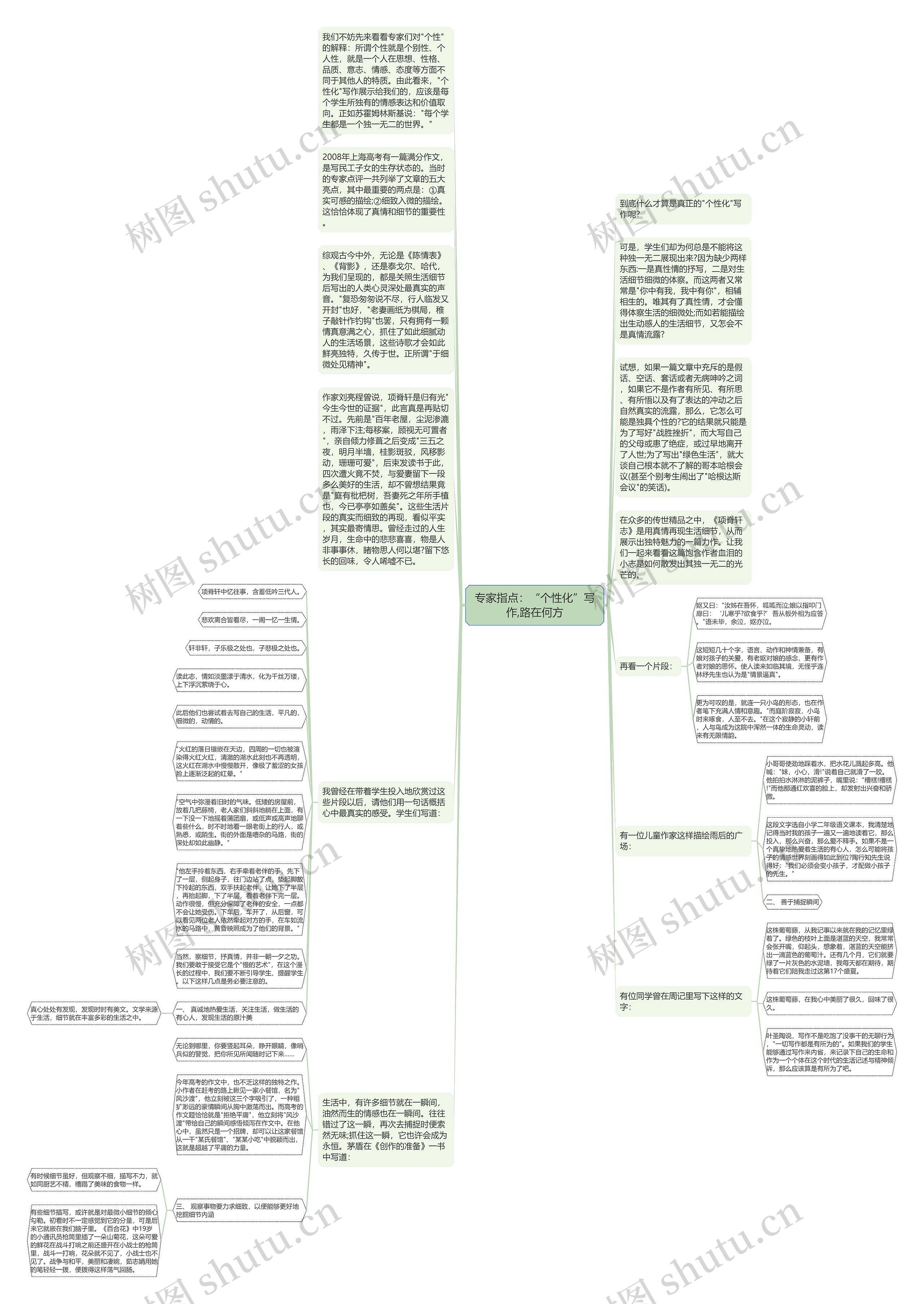 专家指点：“个性化”写作,路在何方思维导图
