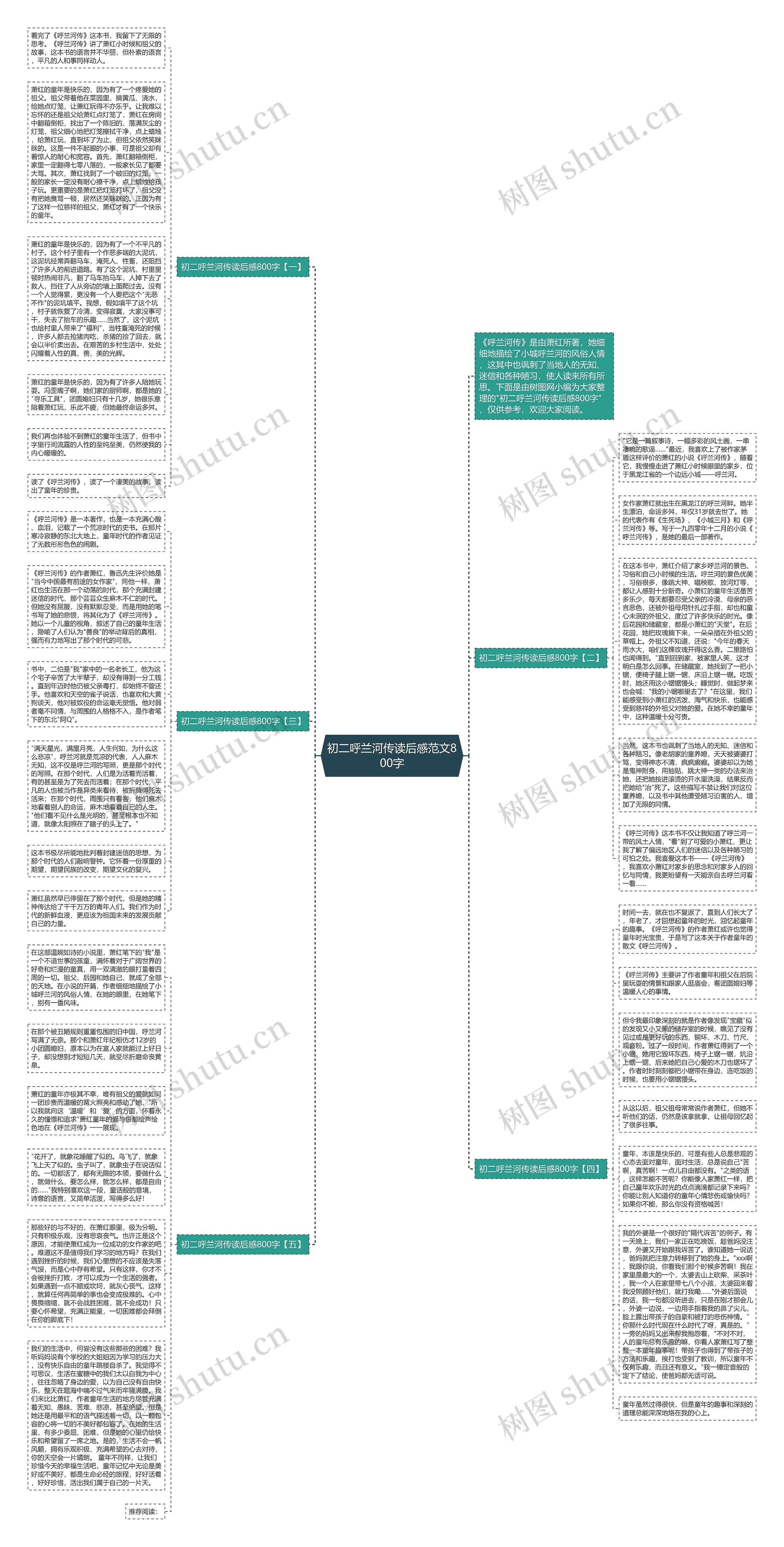 初二呼兰河传读后感范文800字思维导图