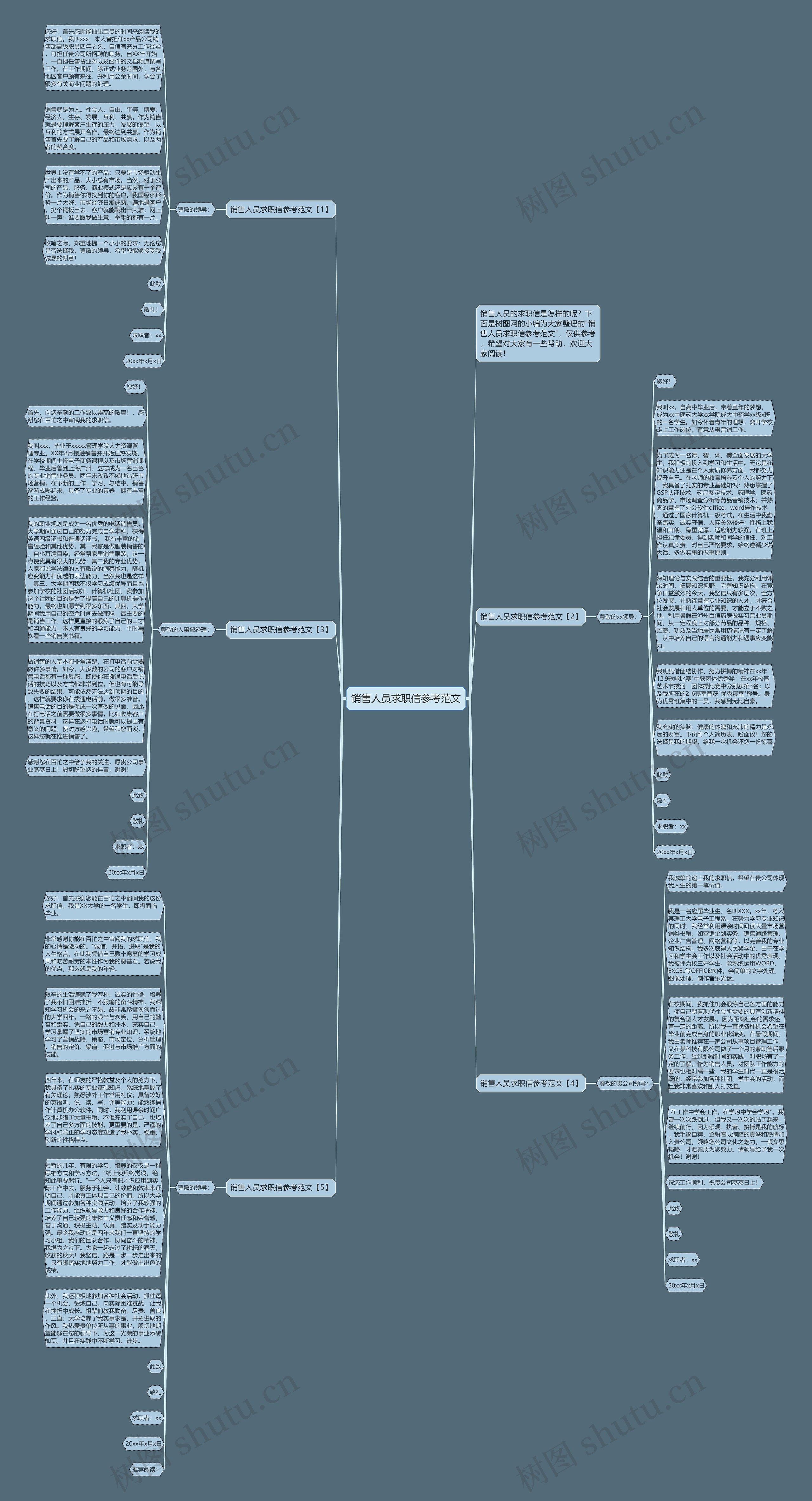 销售人员求职信参考范文思维导图