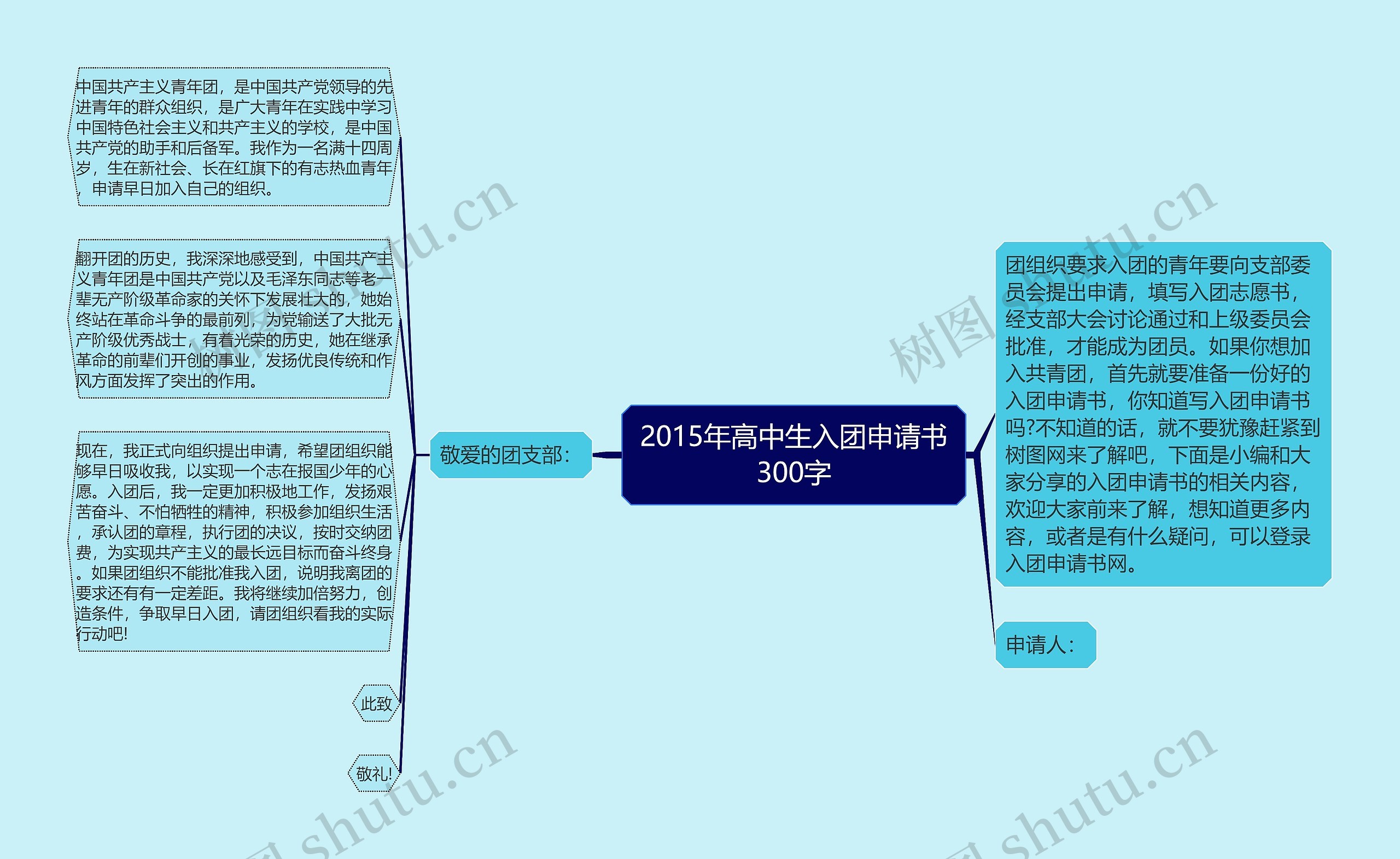 2015年高中生入团申请书300字