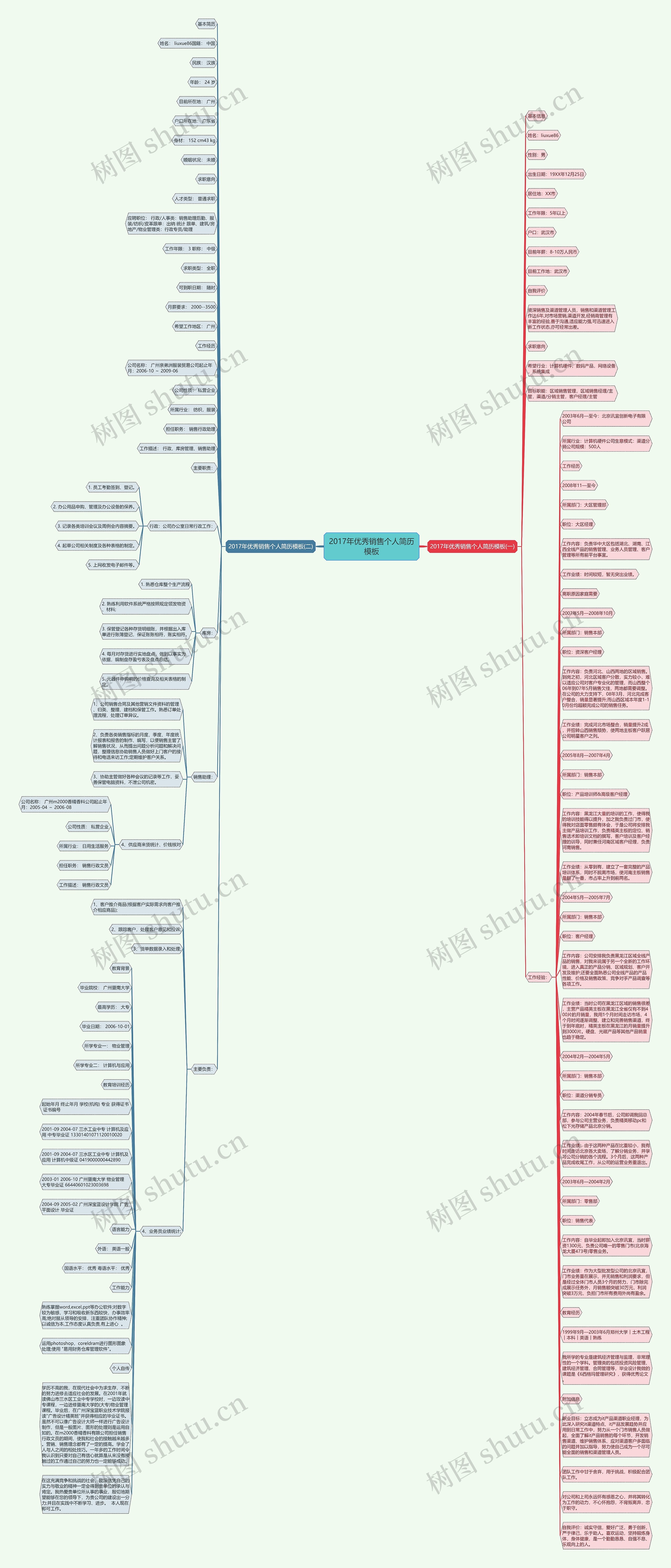 2017年优秀销售个人简历思维导图