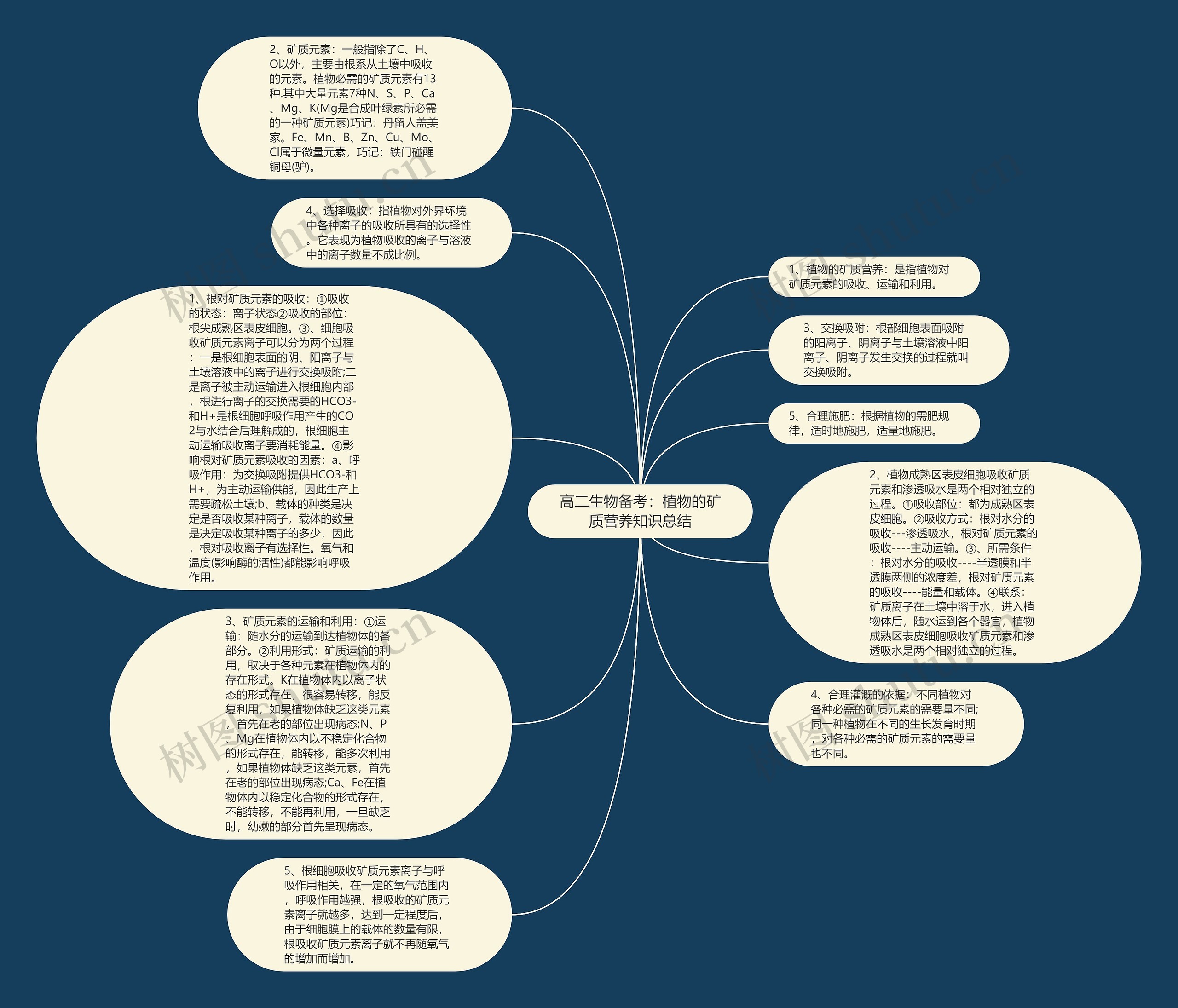 高二生物备考：植物的矿质营养知识总结思维导图