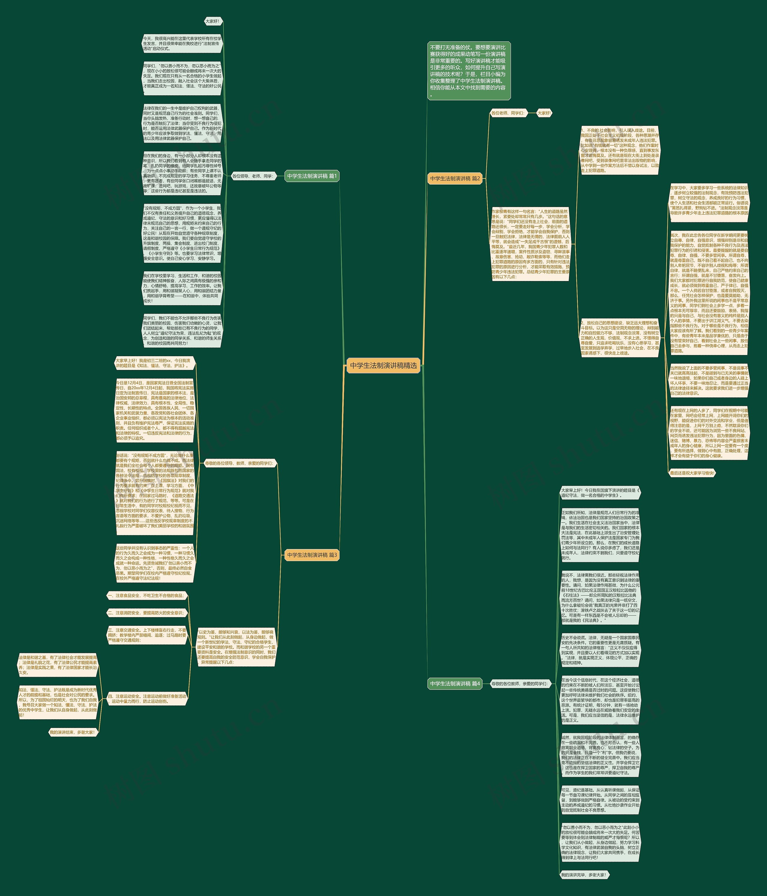 中学生法制演讲稿精选思维导图