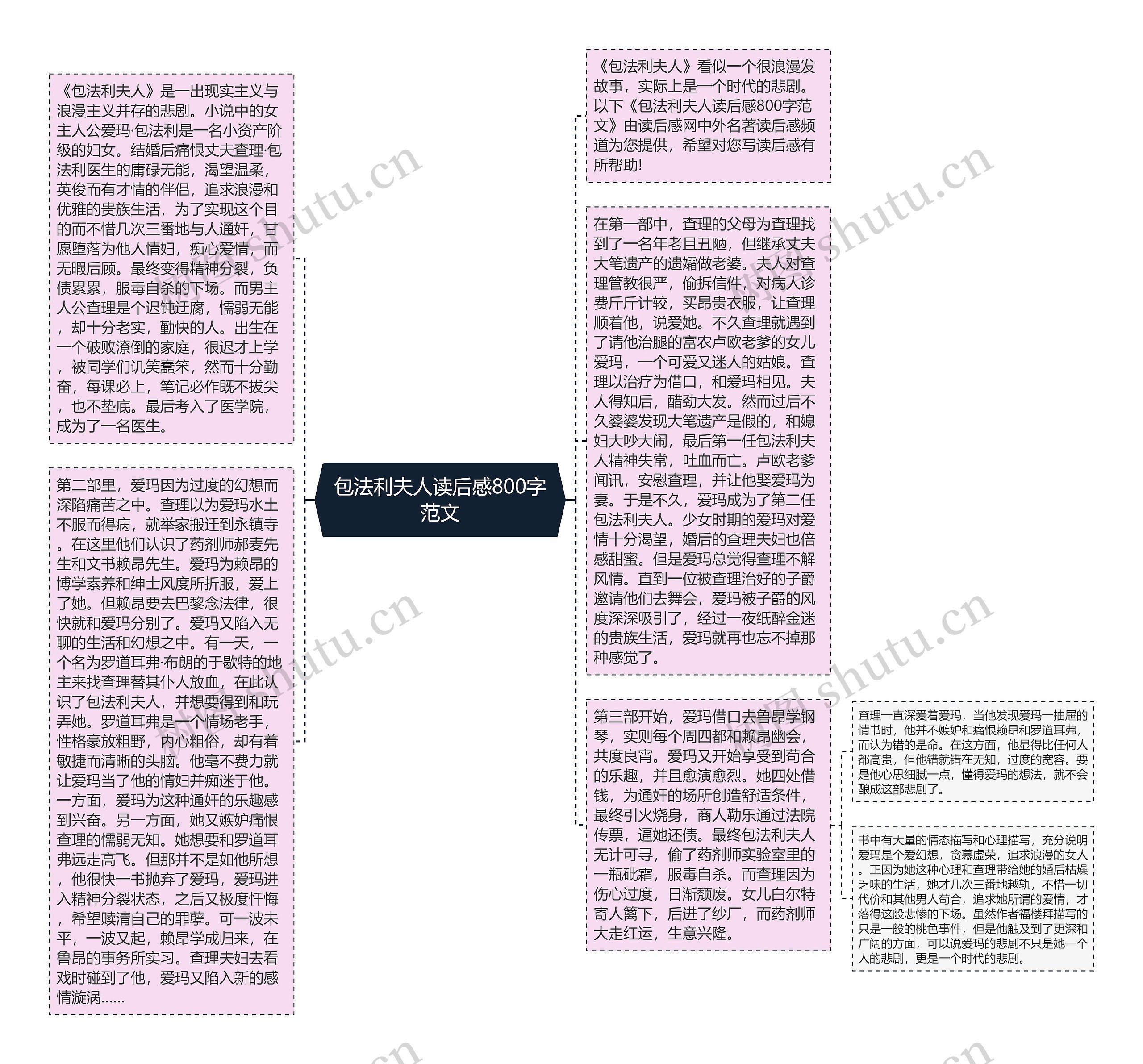 包法利夫人读后感800字范文