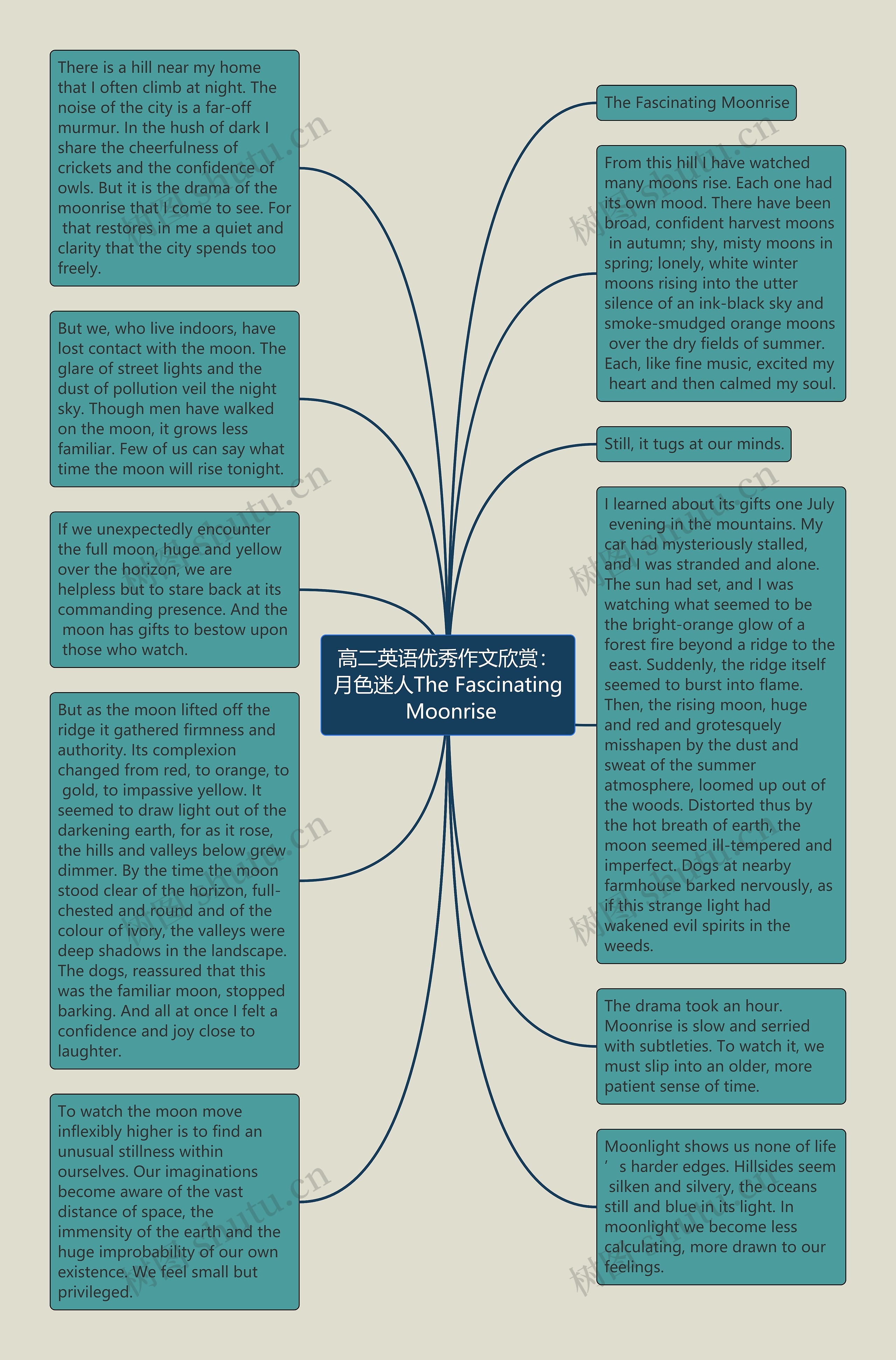 高二英语优秀作文欣赏：月色迷人The Fascinating Moonrise思维导图