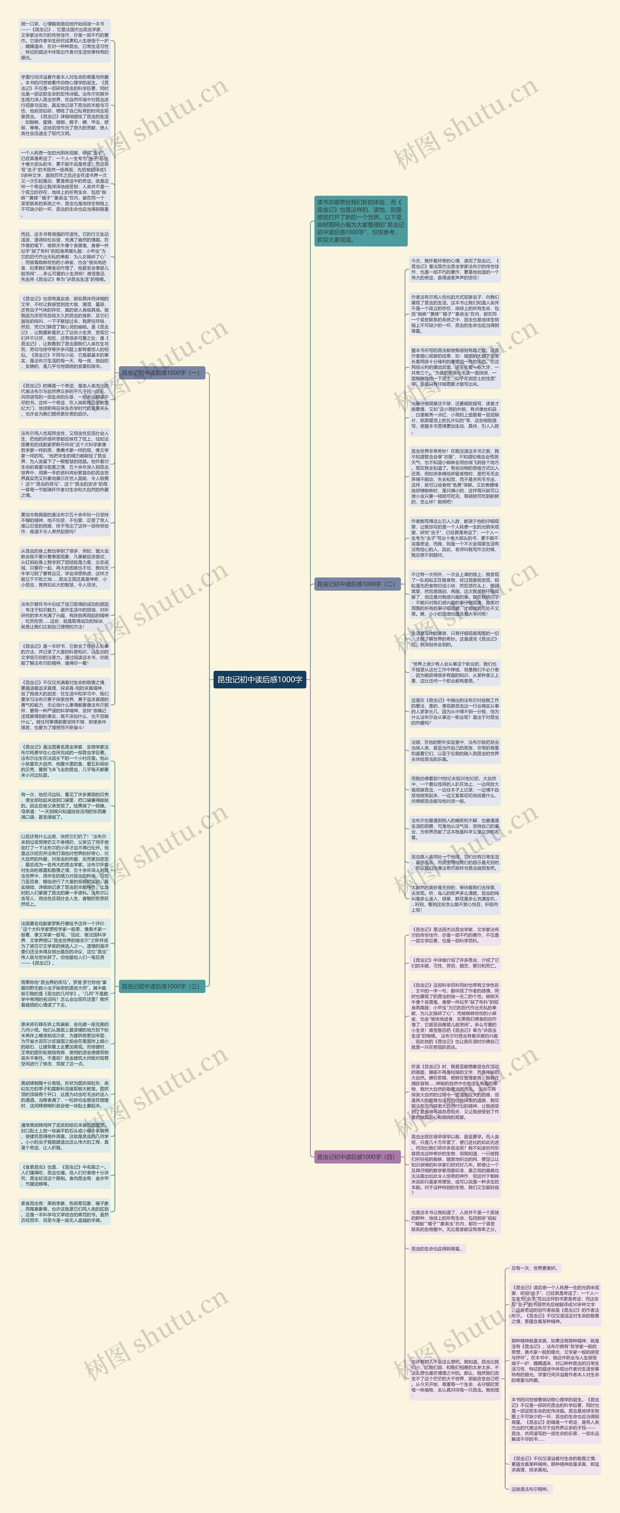 昆虫记初中读后感1000字思维导图
