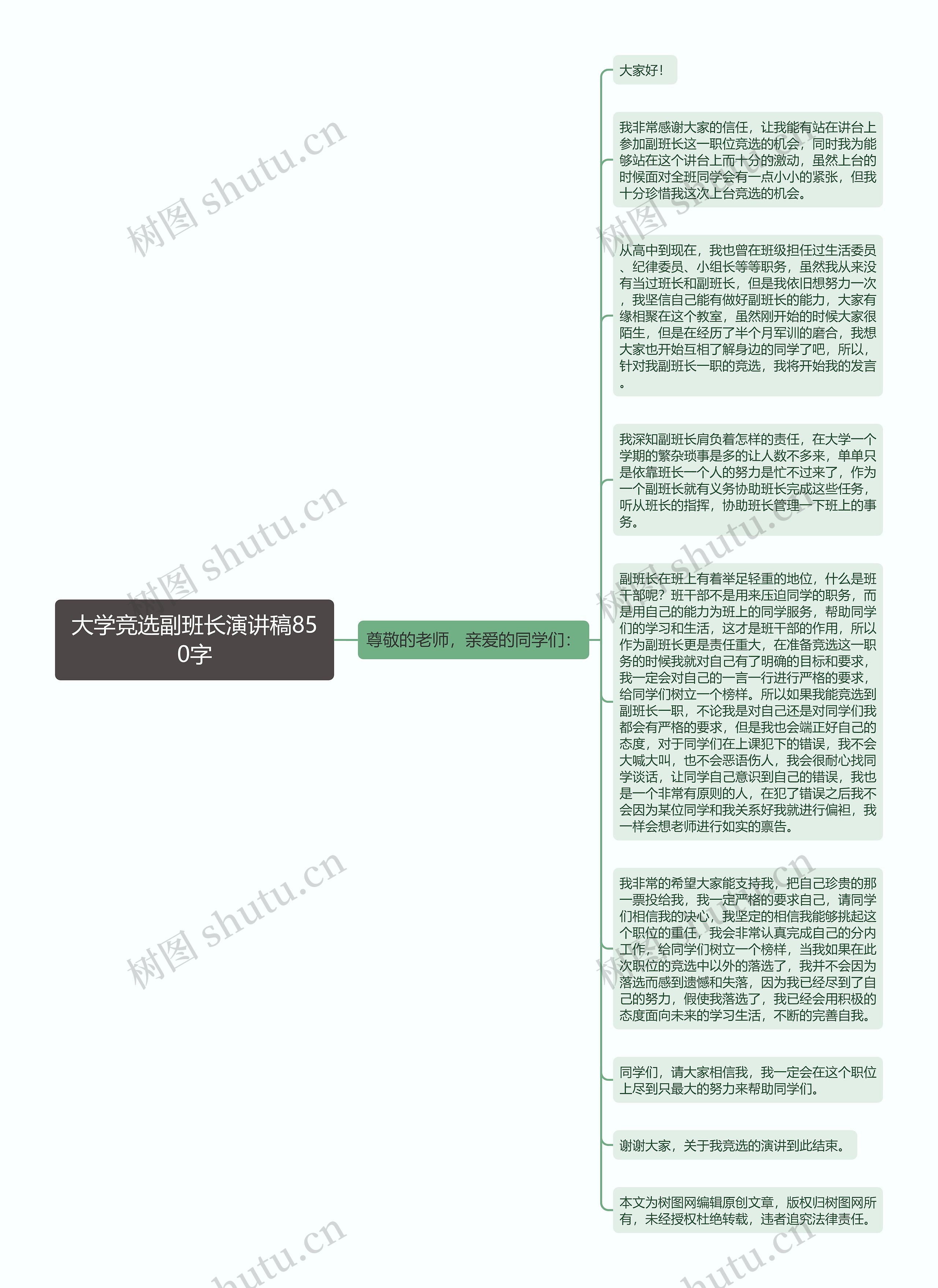 大学竞选副班长演讲稿850字