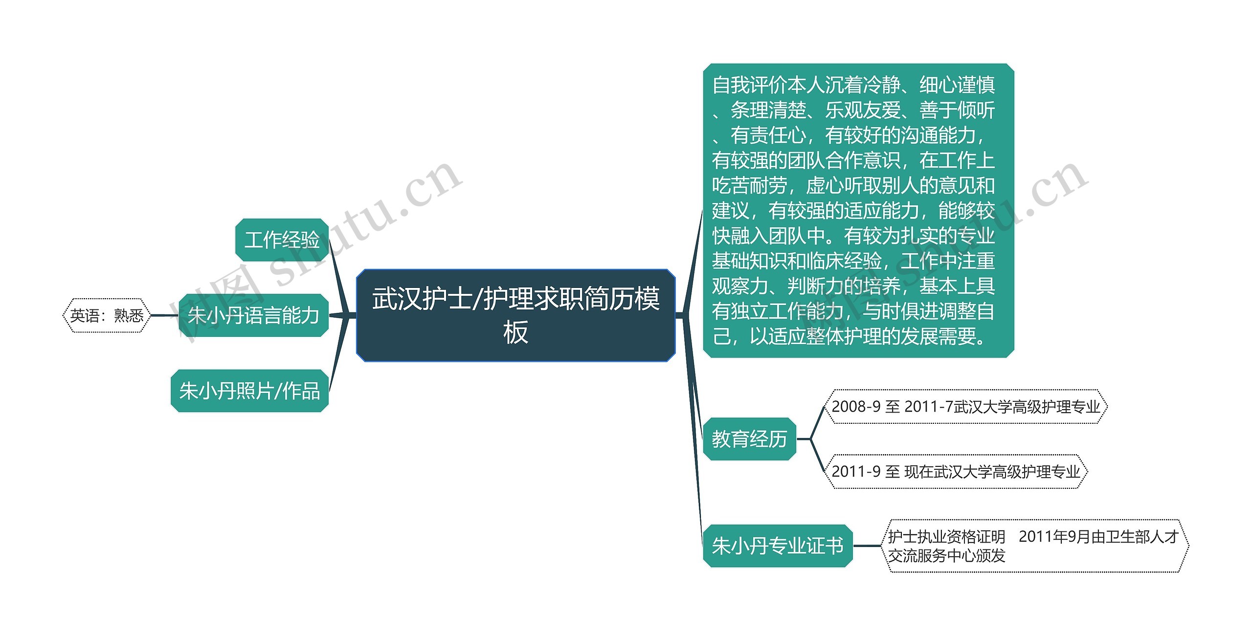 武汉护士/护理求职简历模板