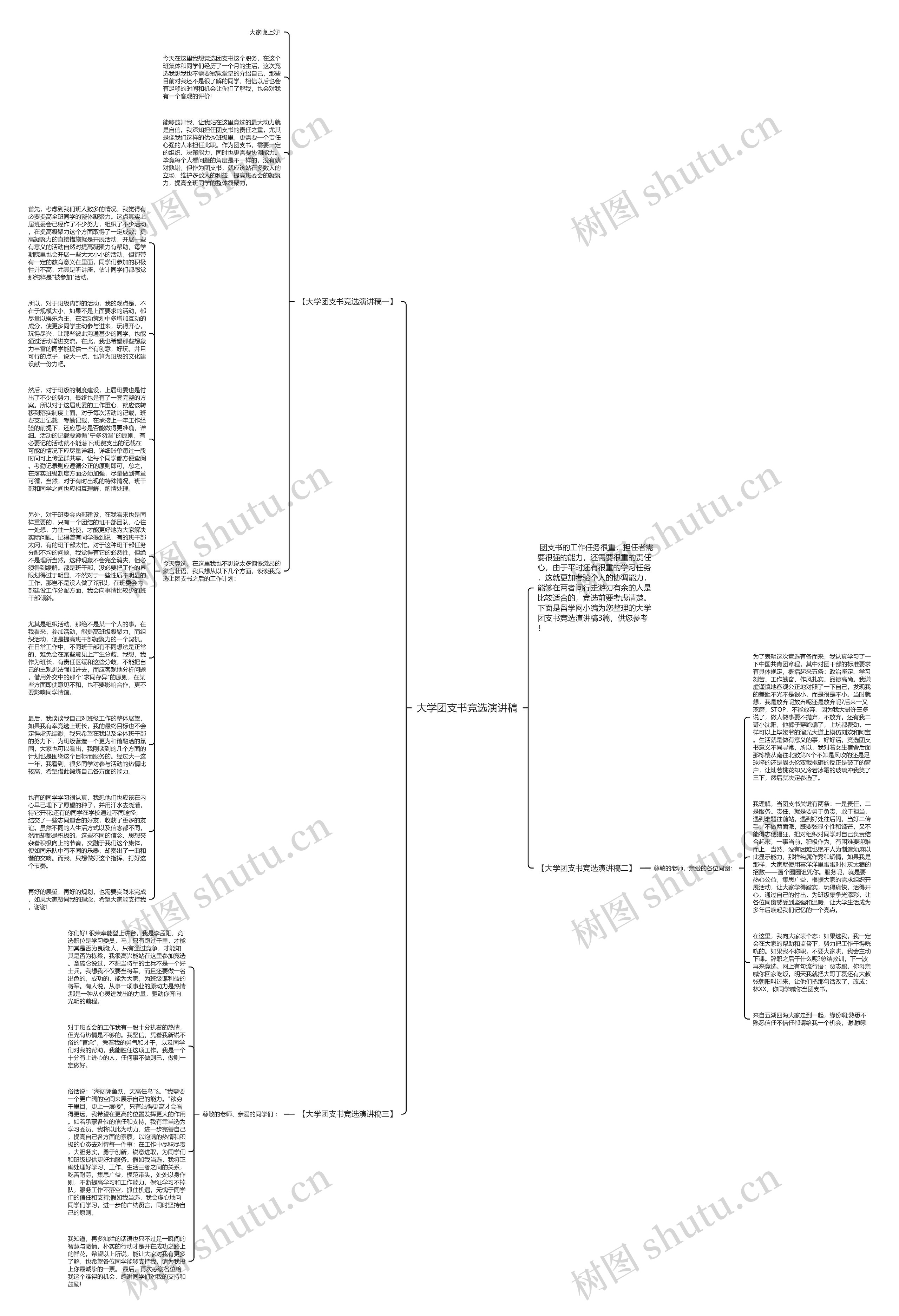 大学团支书竞选演讲稿思维导图