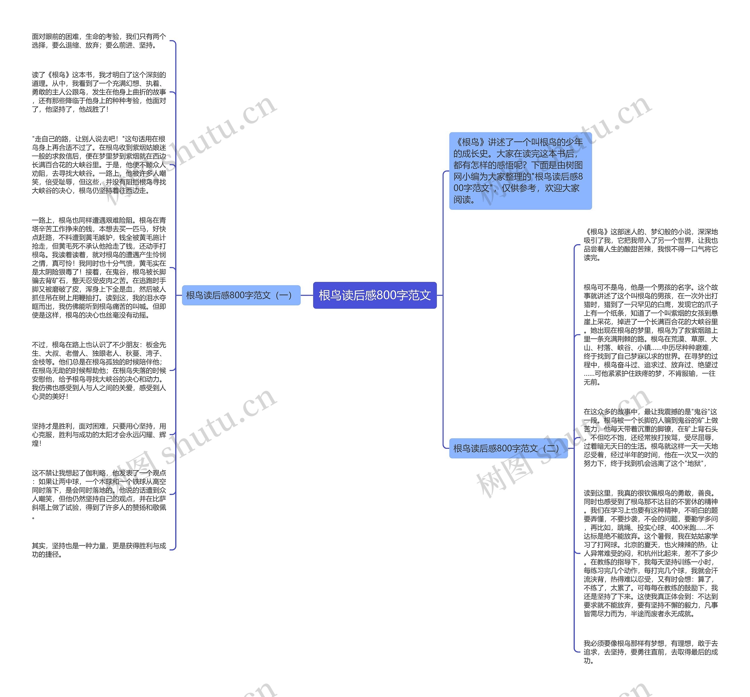 根鸟读后感800字范文思维导图