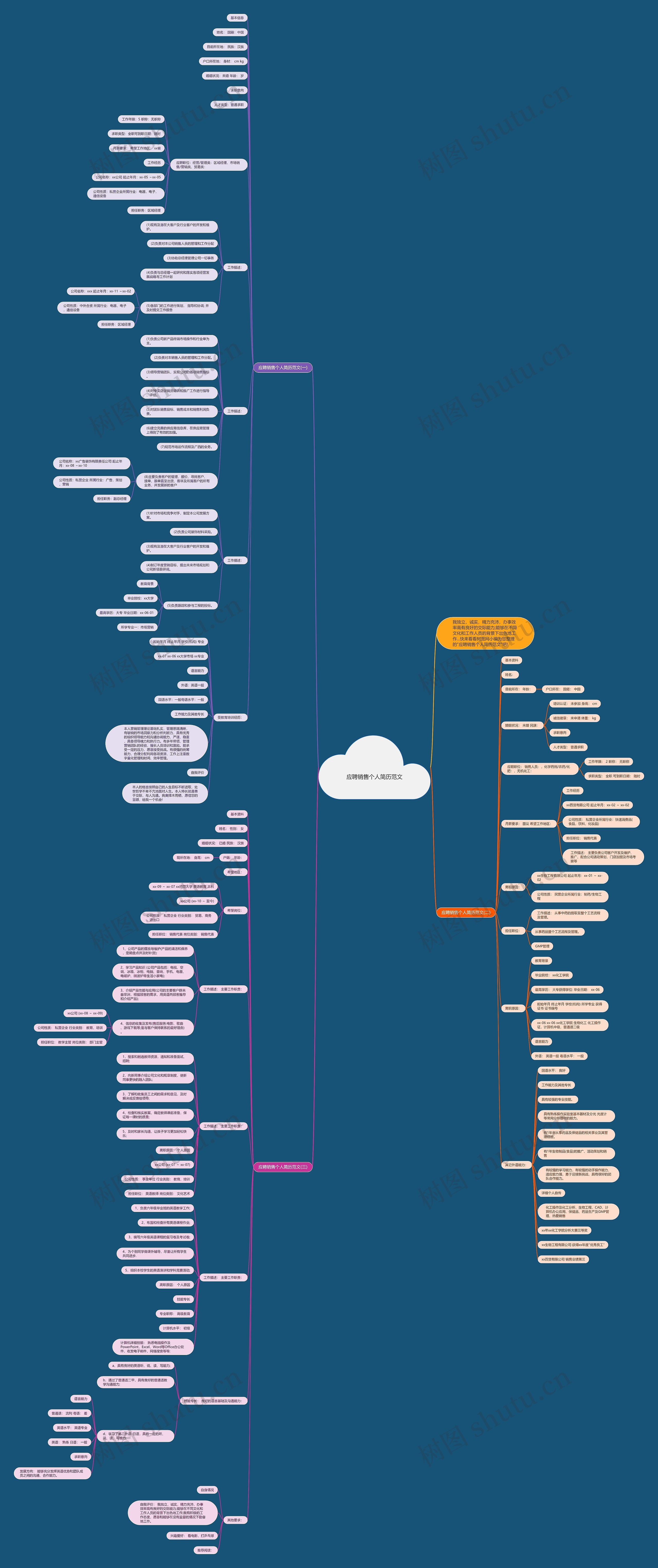 应聘销售个人简历范文思维导图