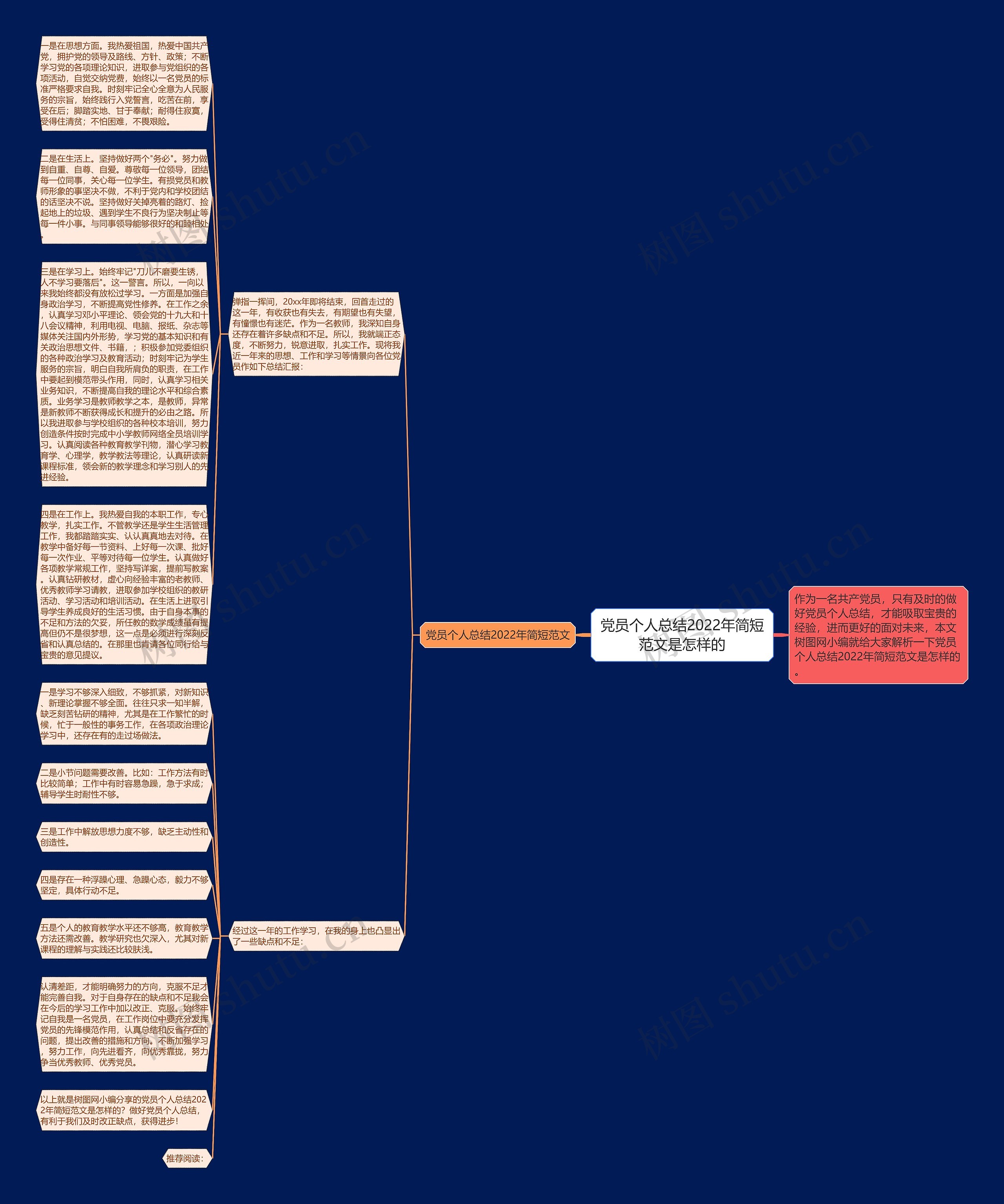 党员个人总结2022年简短范文是怎样的思维导图