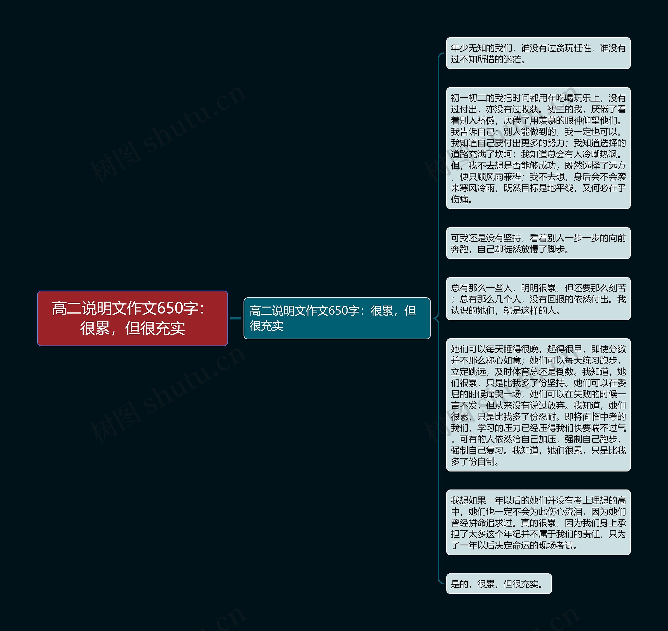 高二说明文作文650字：很累，但很充实