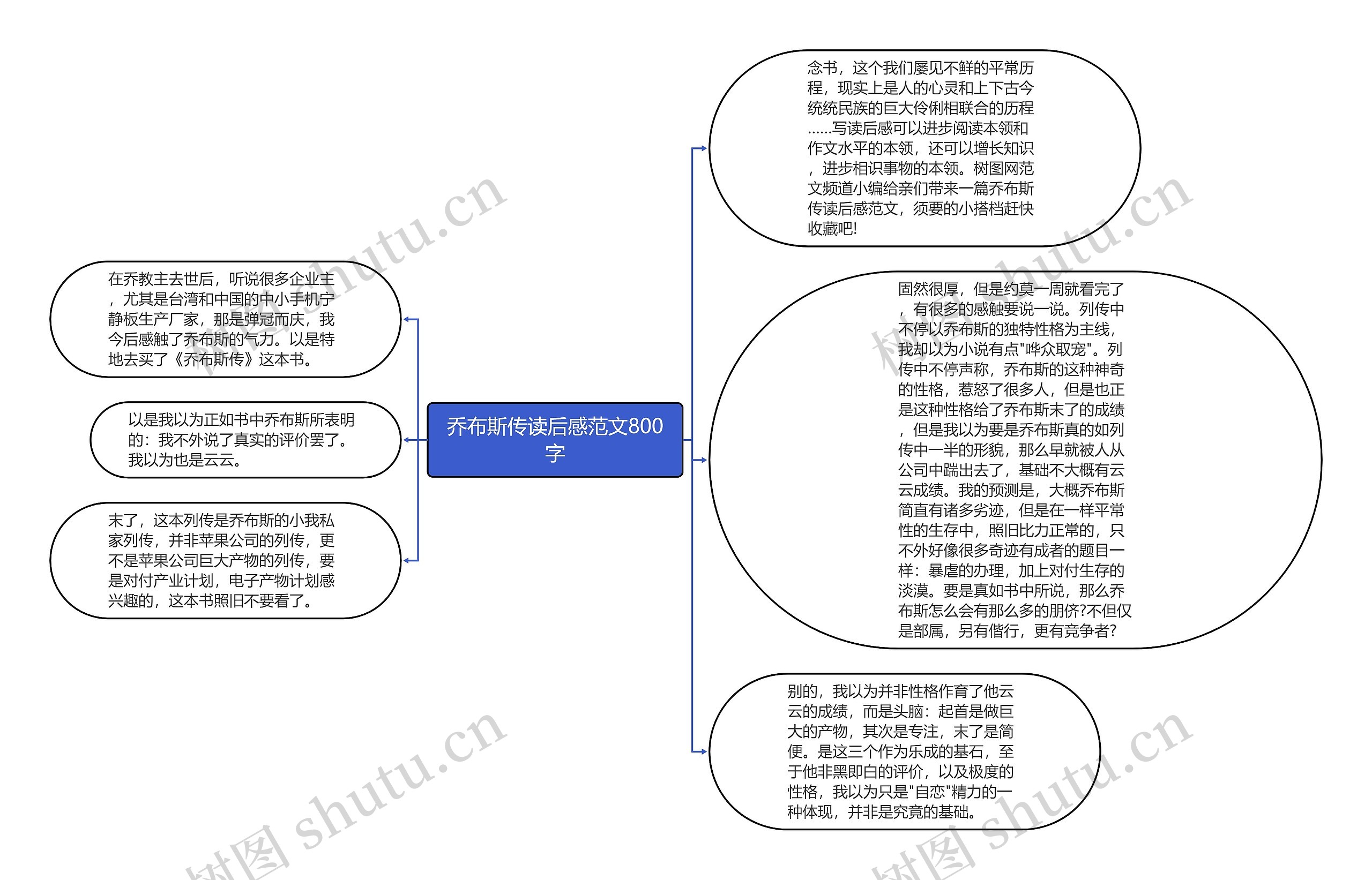 乔布斯传读后感范文800字