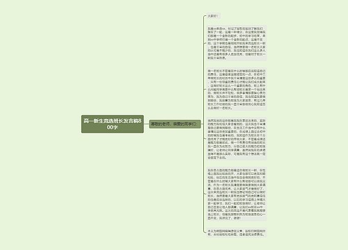 高一新生竞选班长发言稿800字