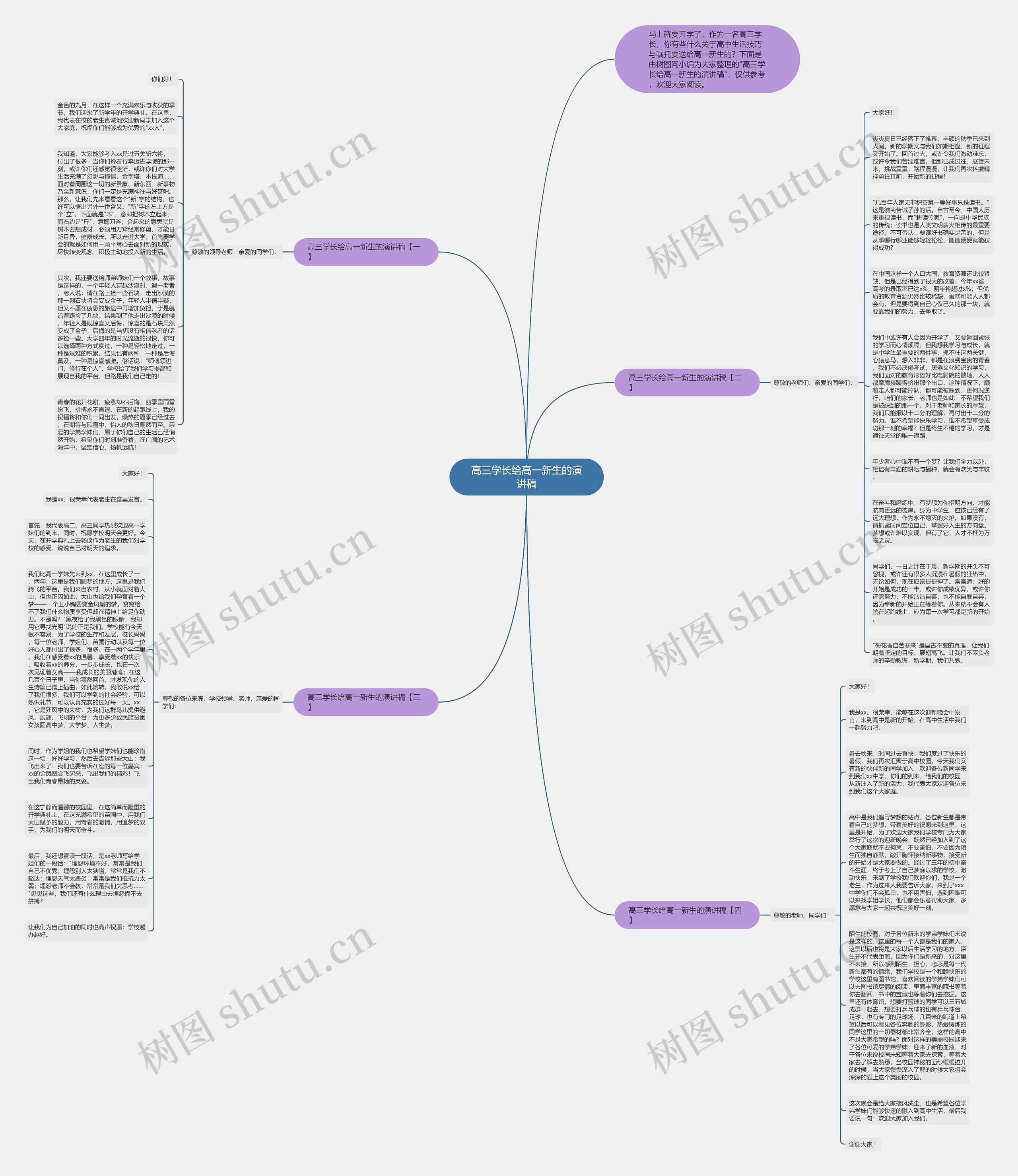 高三学长给高一新生的演讲稿思维导图