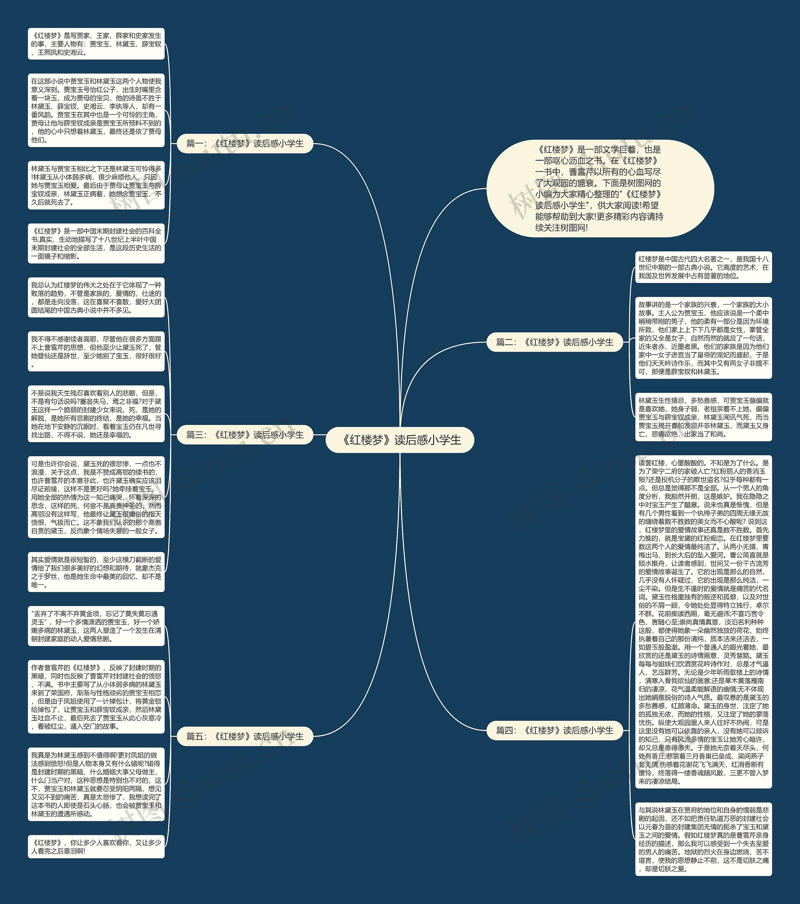 《红楼梦》读后感小学生思维导图