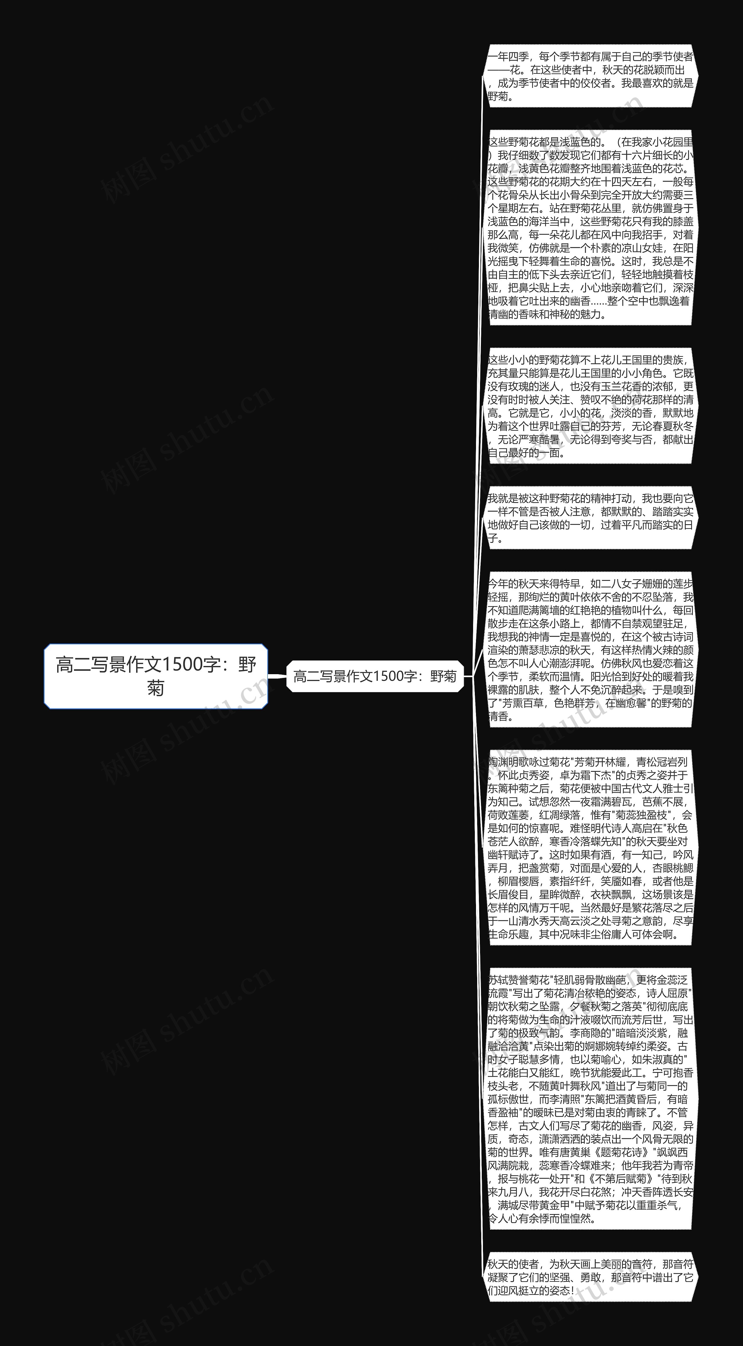 高二写景作文1500字：野菊思维导图