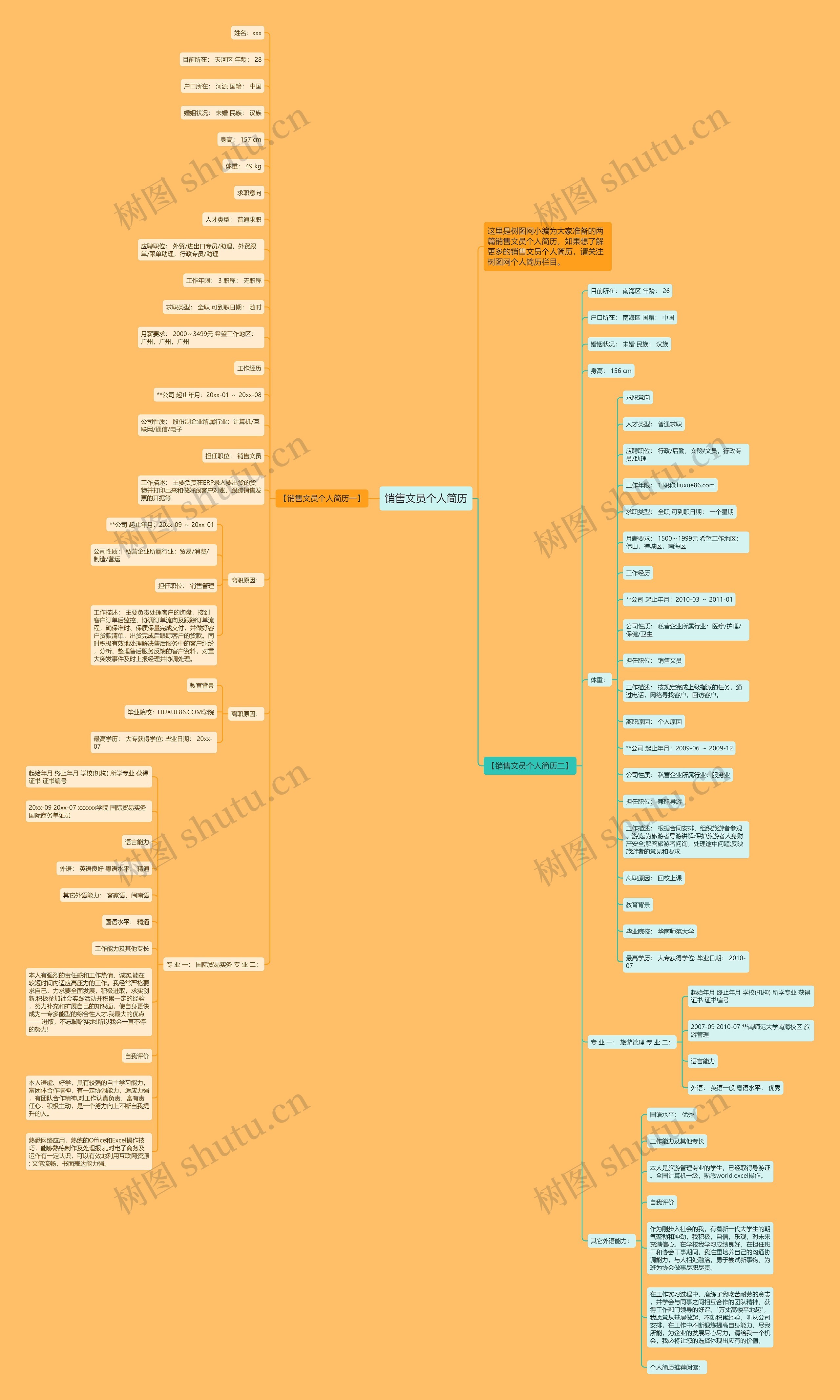 销售文员个人简历思维导图