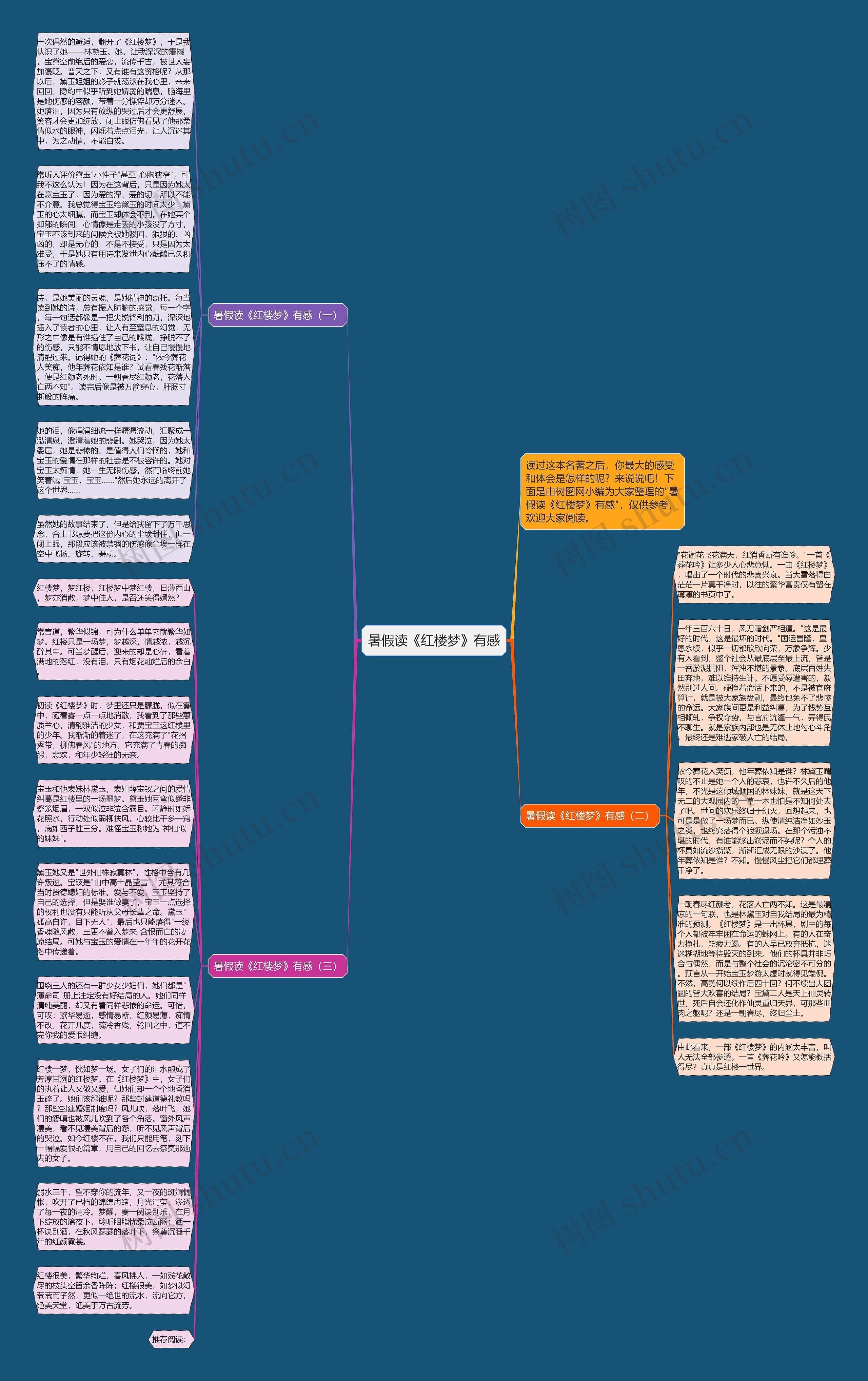 暑假读《红楼梦》有感思维导图