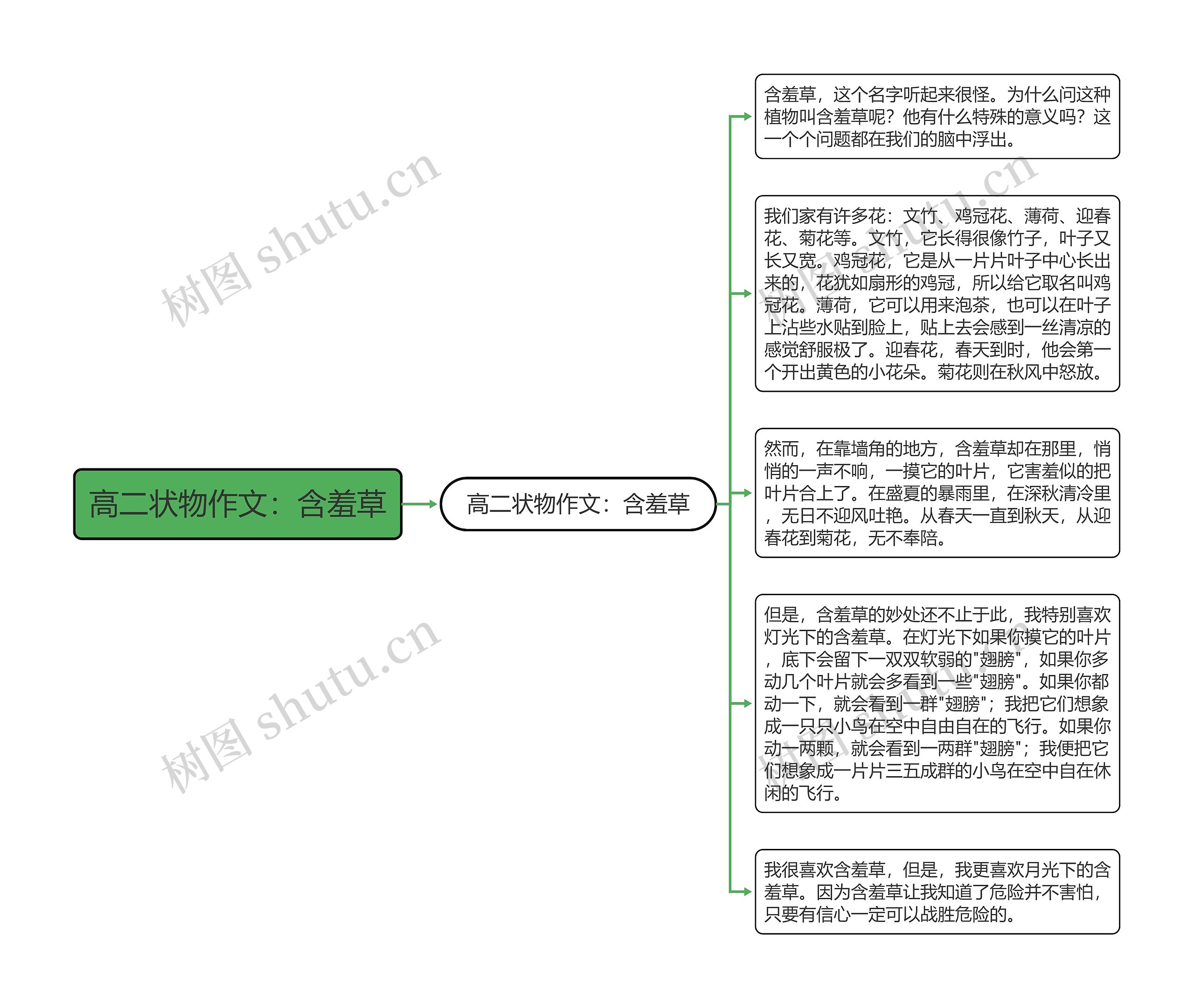 高二状物作文：含羞草