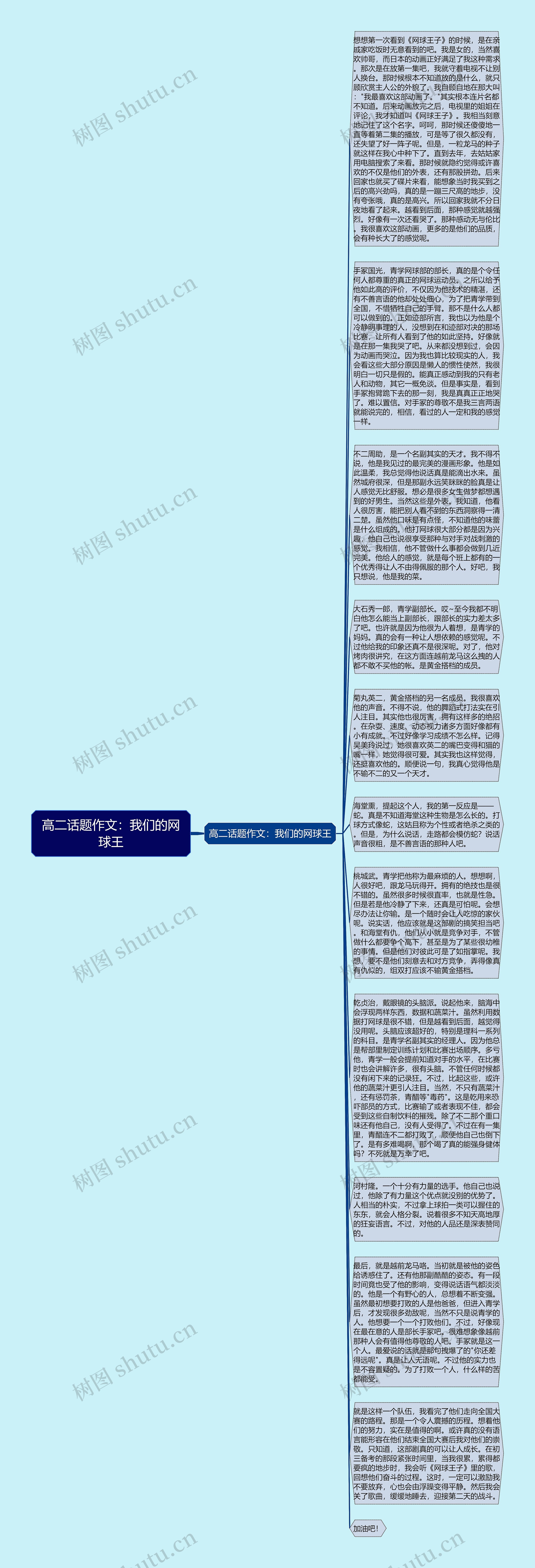 高二话题作文：我们的网球王思维导图