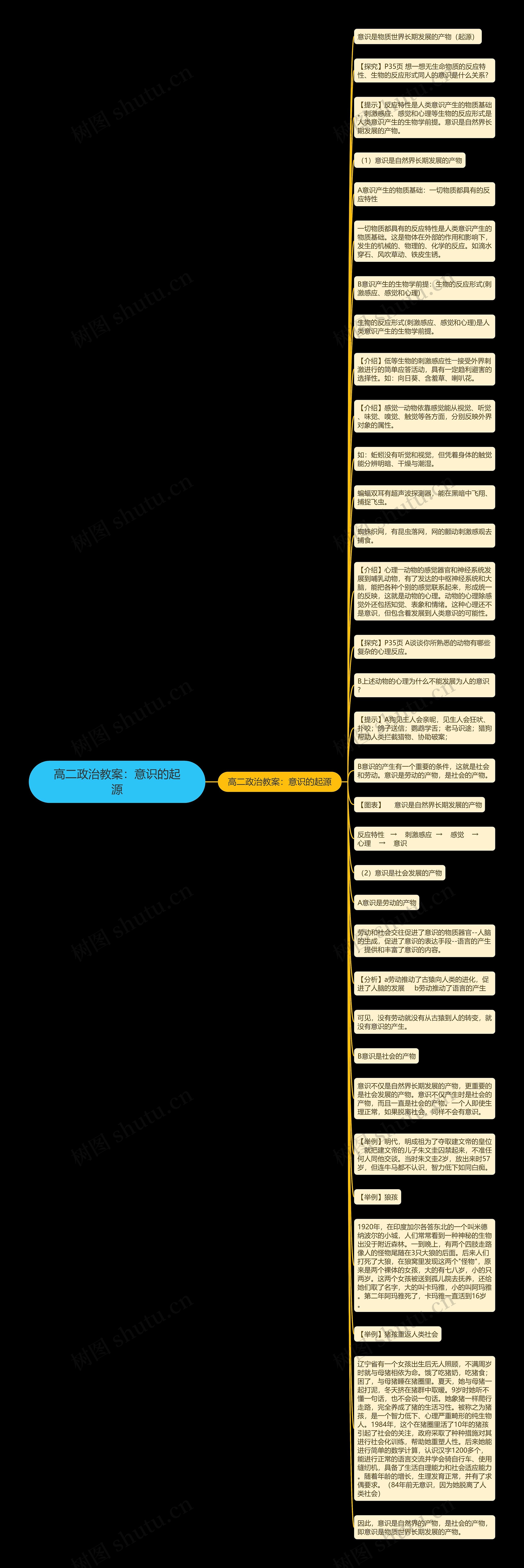 高二政治教案：意识的起源思维导图