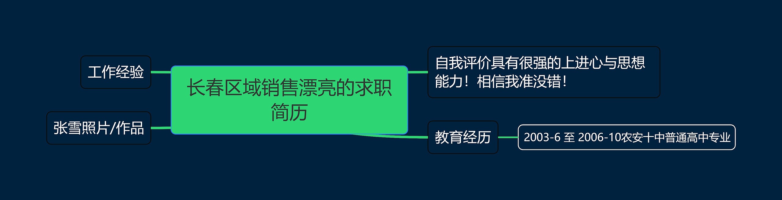 长春区域销售漂亮的求职简历思维导图