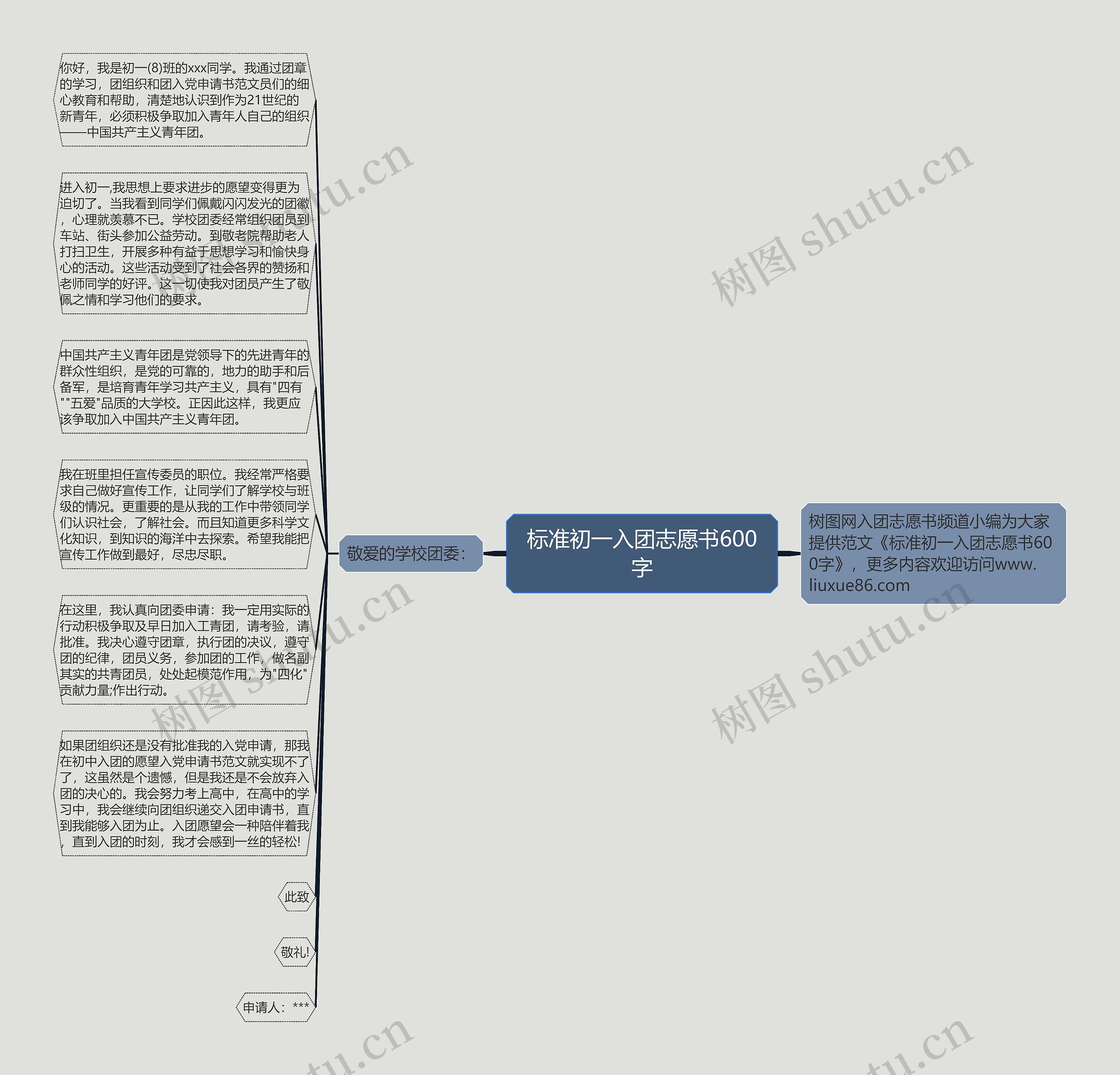 标准初一入团志愿书600字思维导图