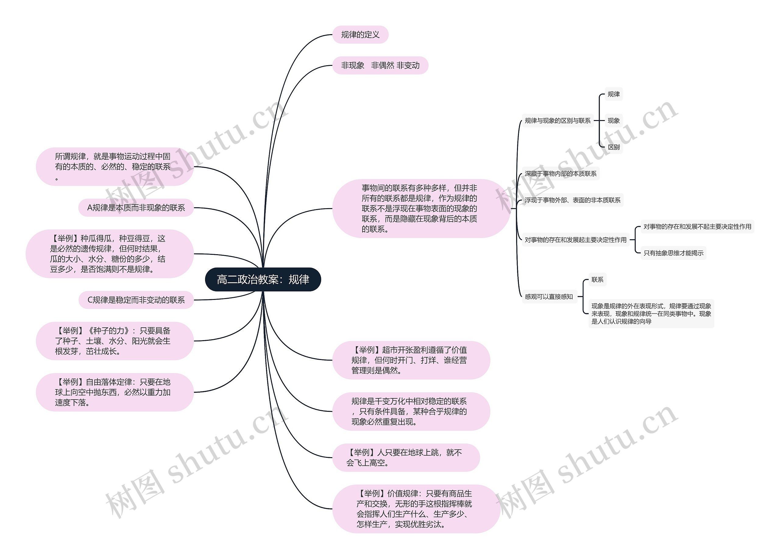 高二政治教案：规律思维导图