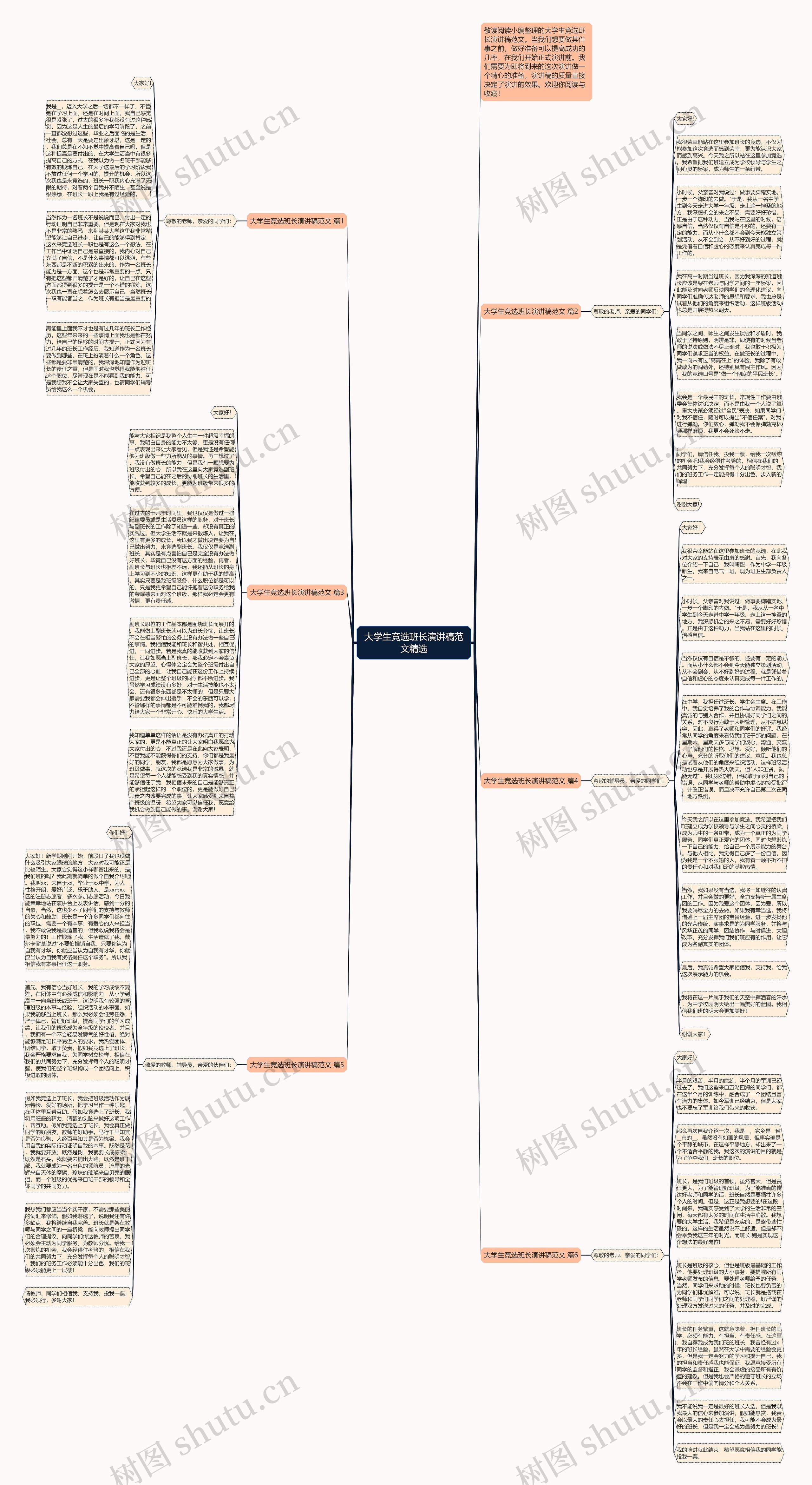 大学生竞选班长演讲稿范文精选思维导图