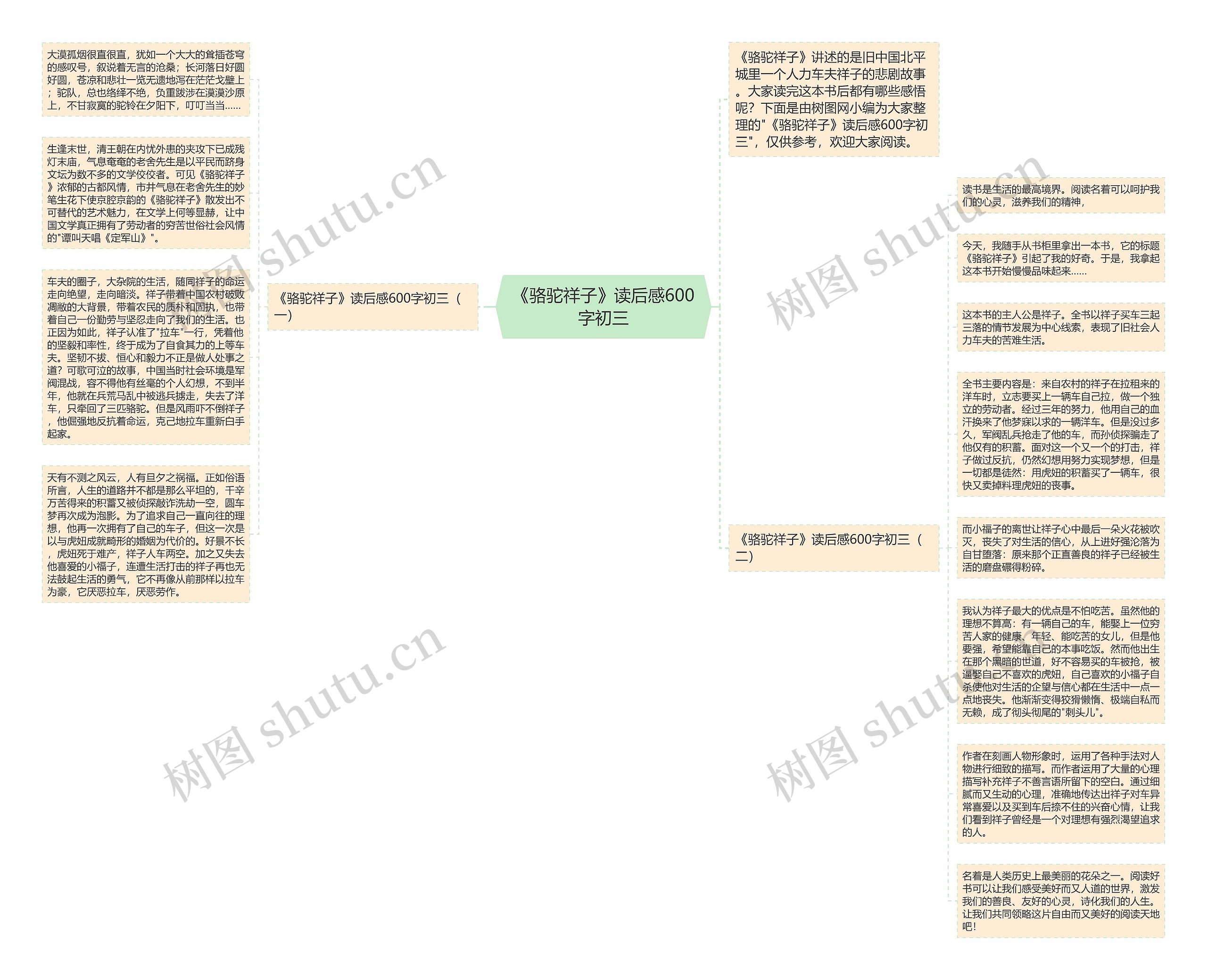 《骆驼祥子》读后感600字初三思维导图