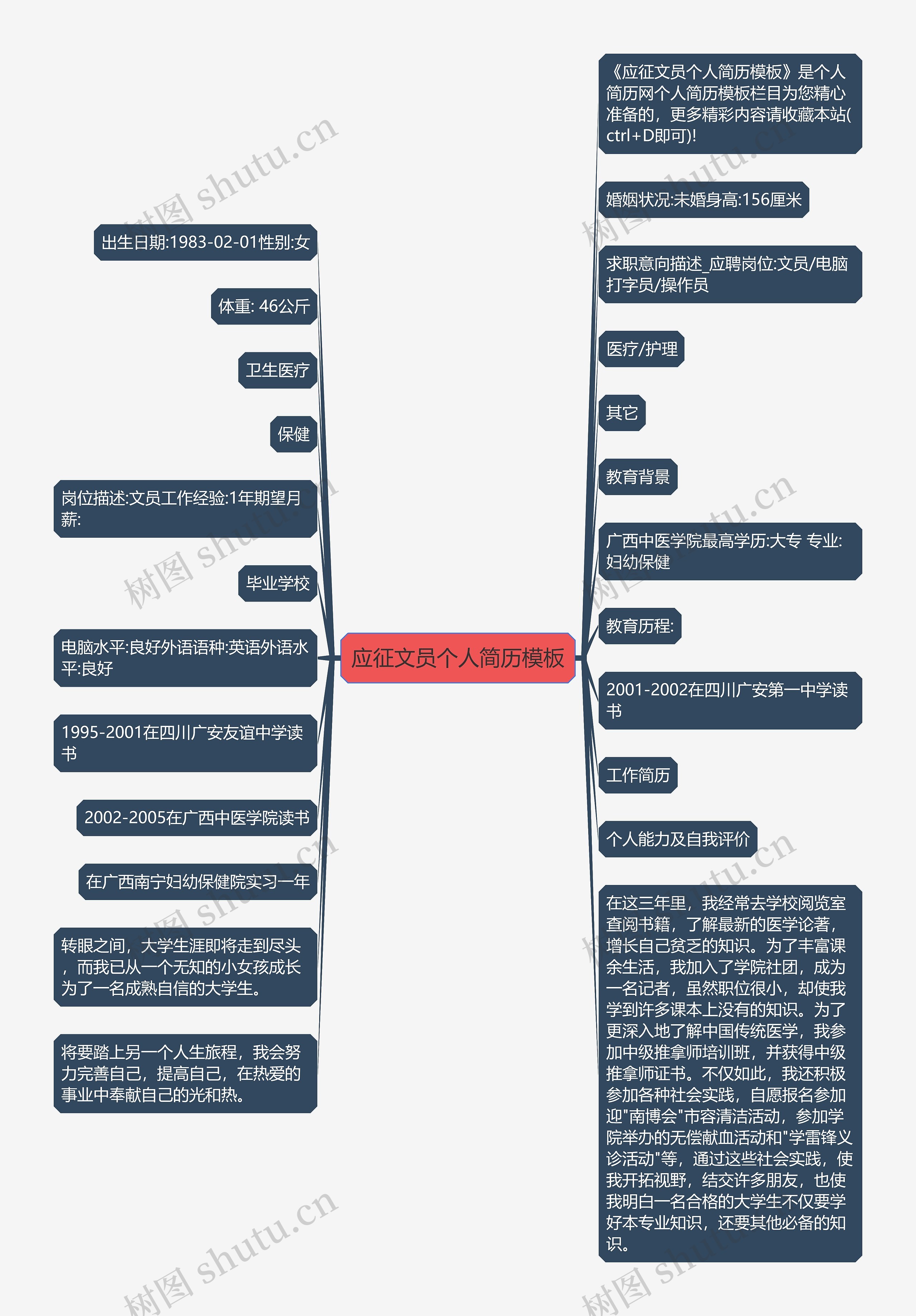 应征文员个人简历思维导图