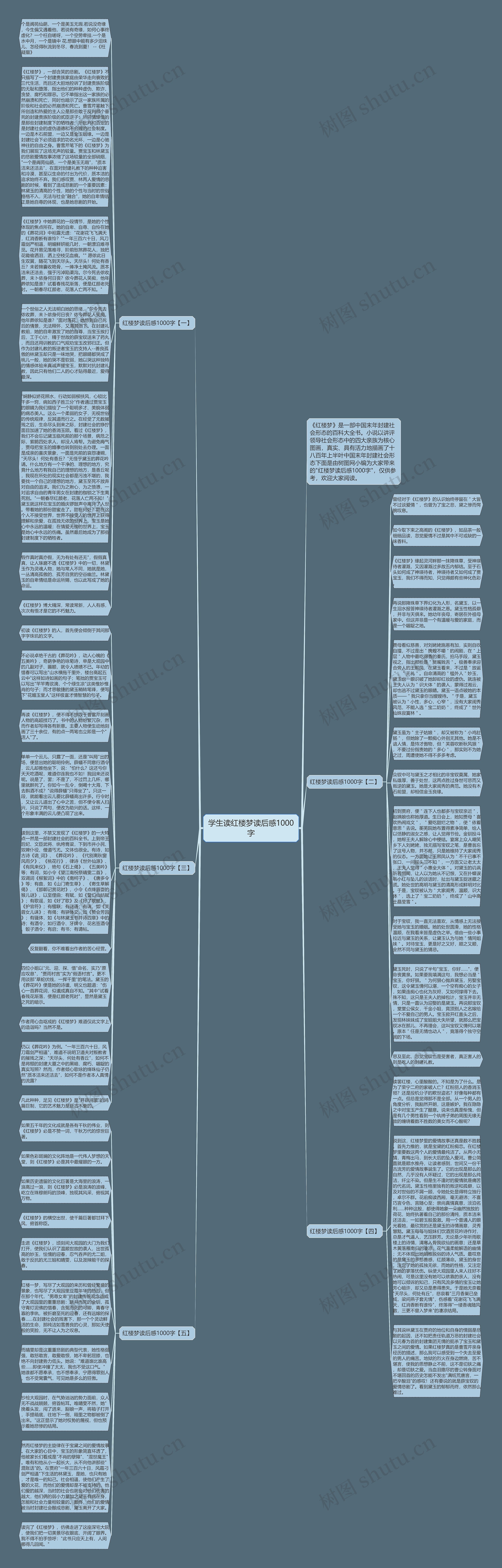 学生读红楼梦读后感1000字思维导图