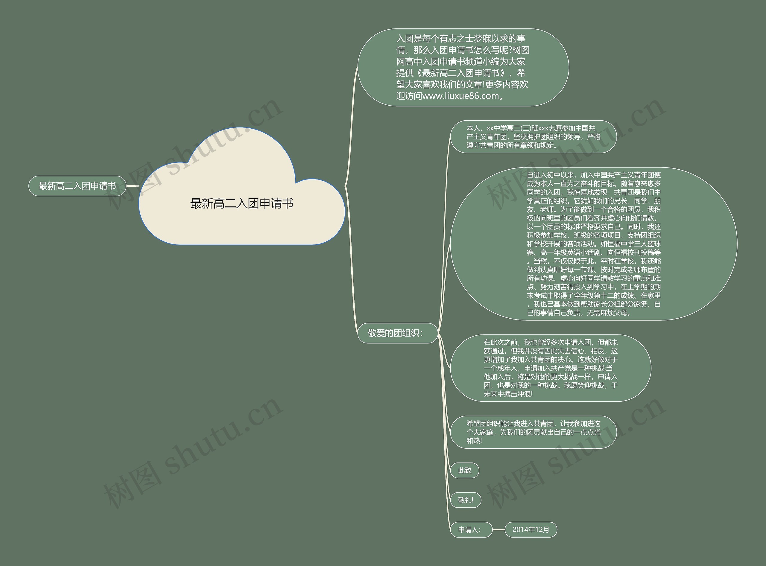 最新高二入团申请书思维导图