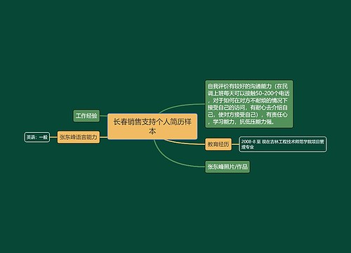 长春销售支持个人简历样本